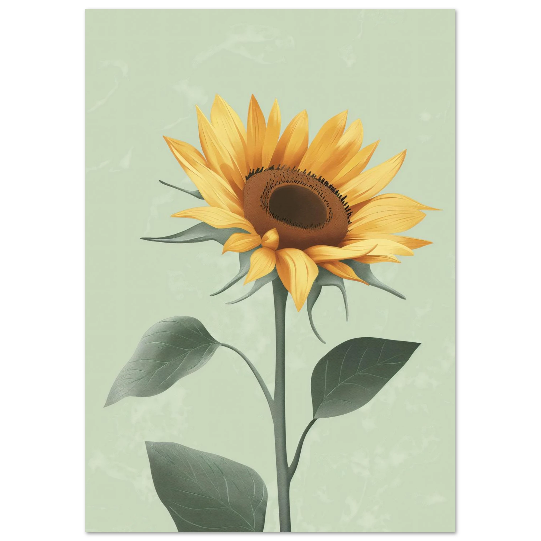 #21 x 29.7 cm