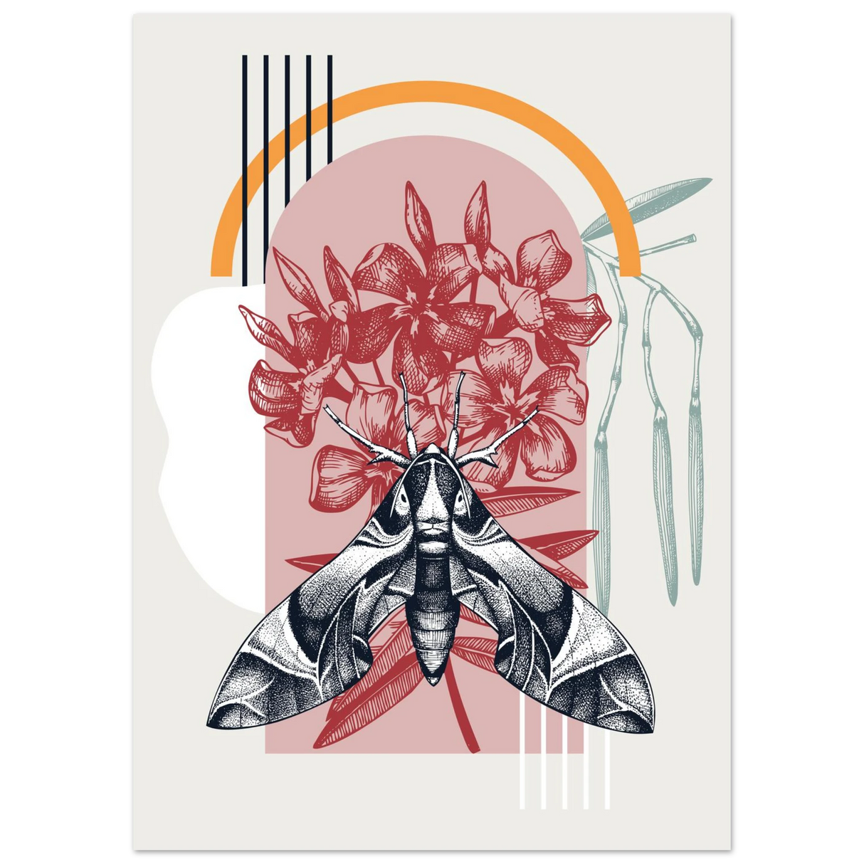 #50 x 70 cm