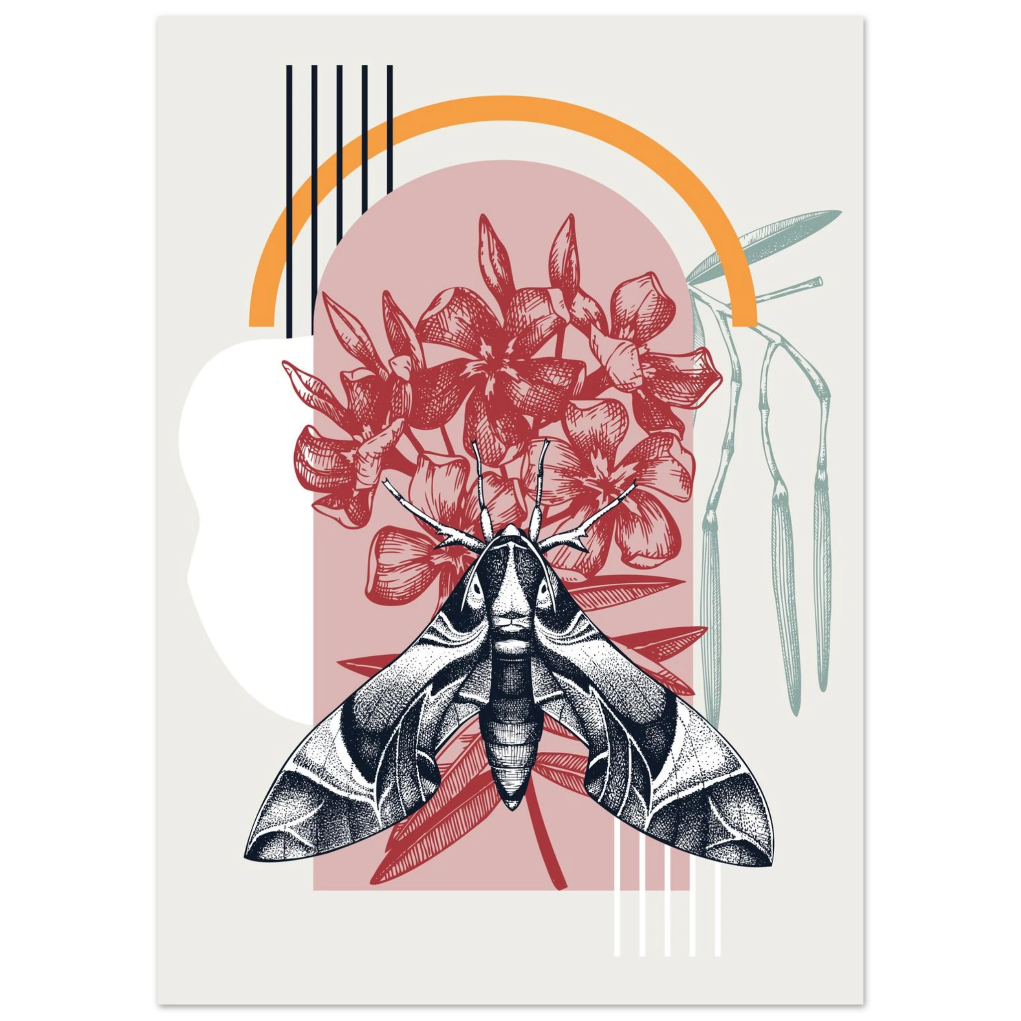 #50 x 70 cm
