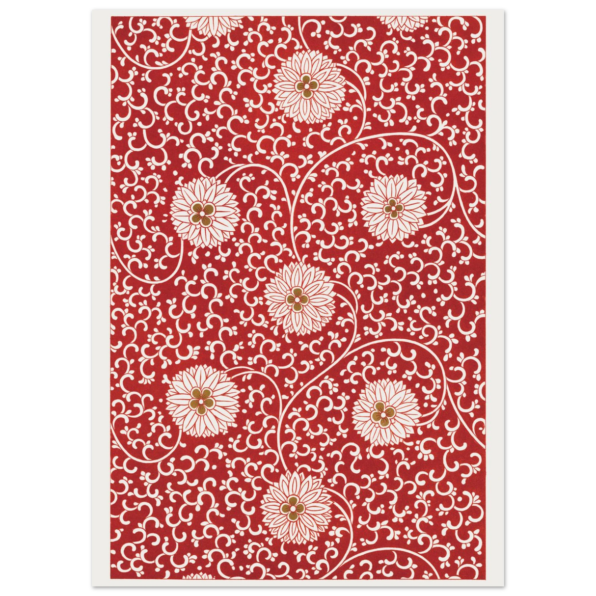 #50 x 70 cm
