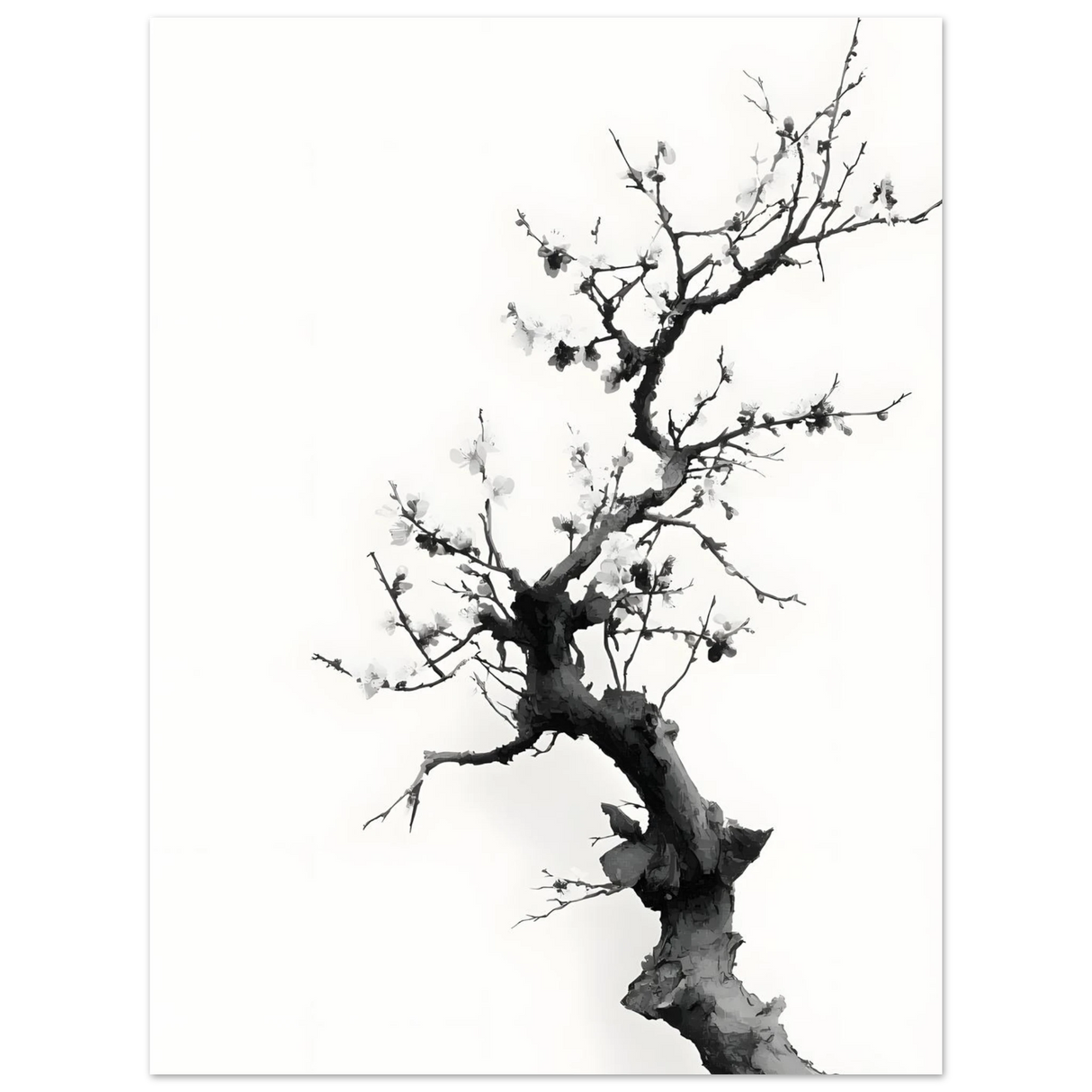 #50 x 70 cm
