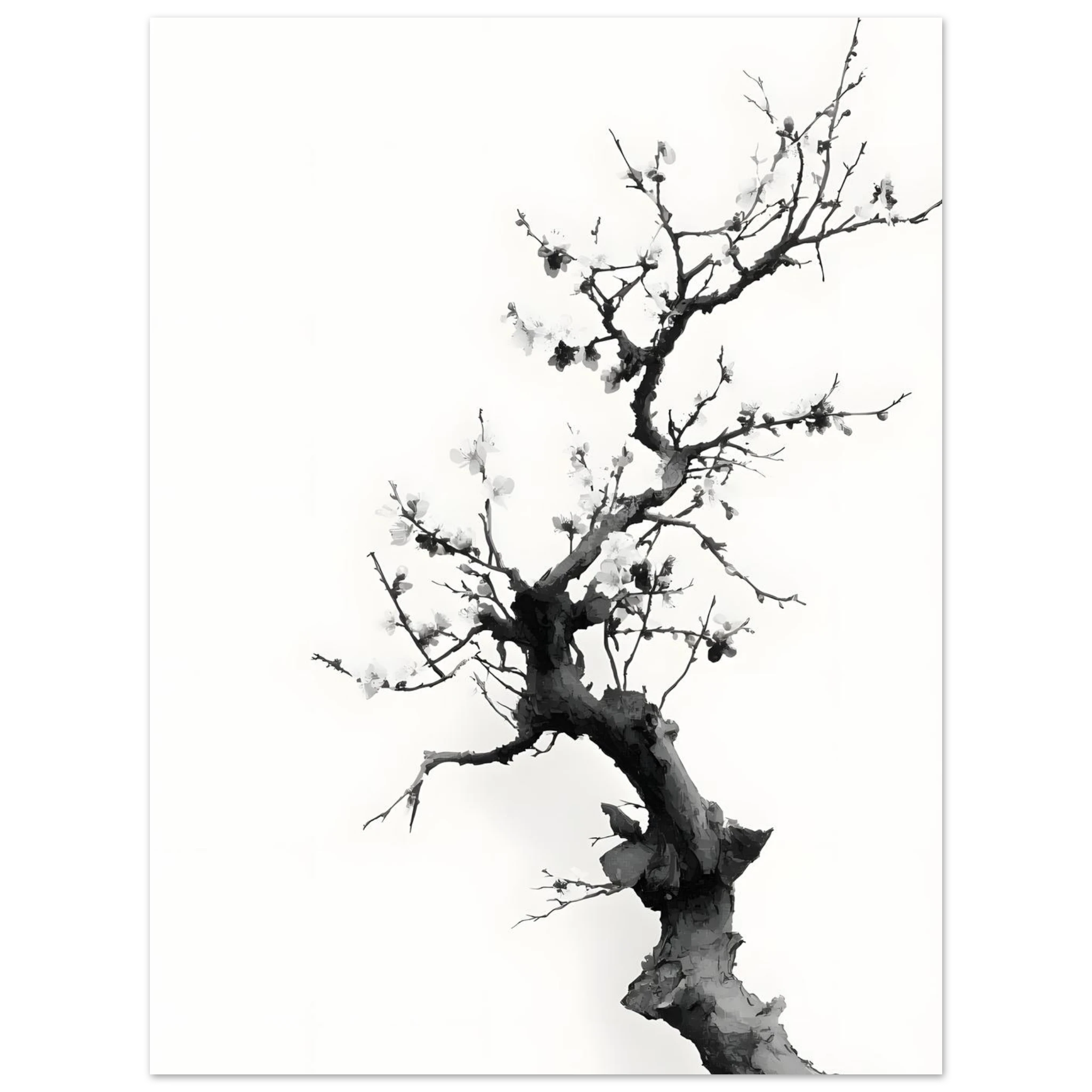 #50 x 70 cm