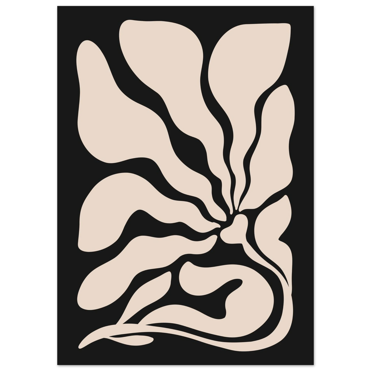 #50 x 70 cm