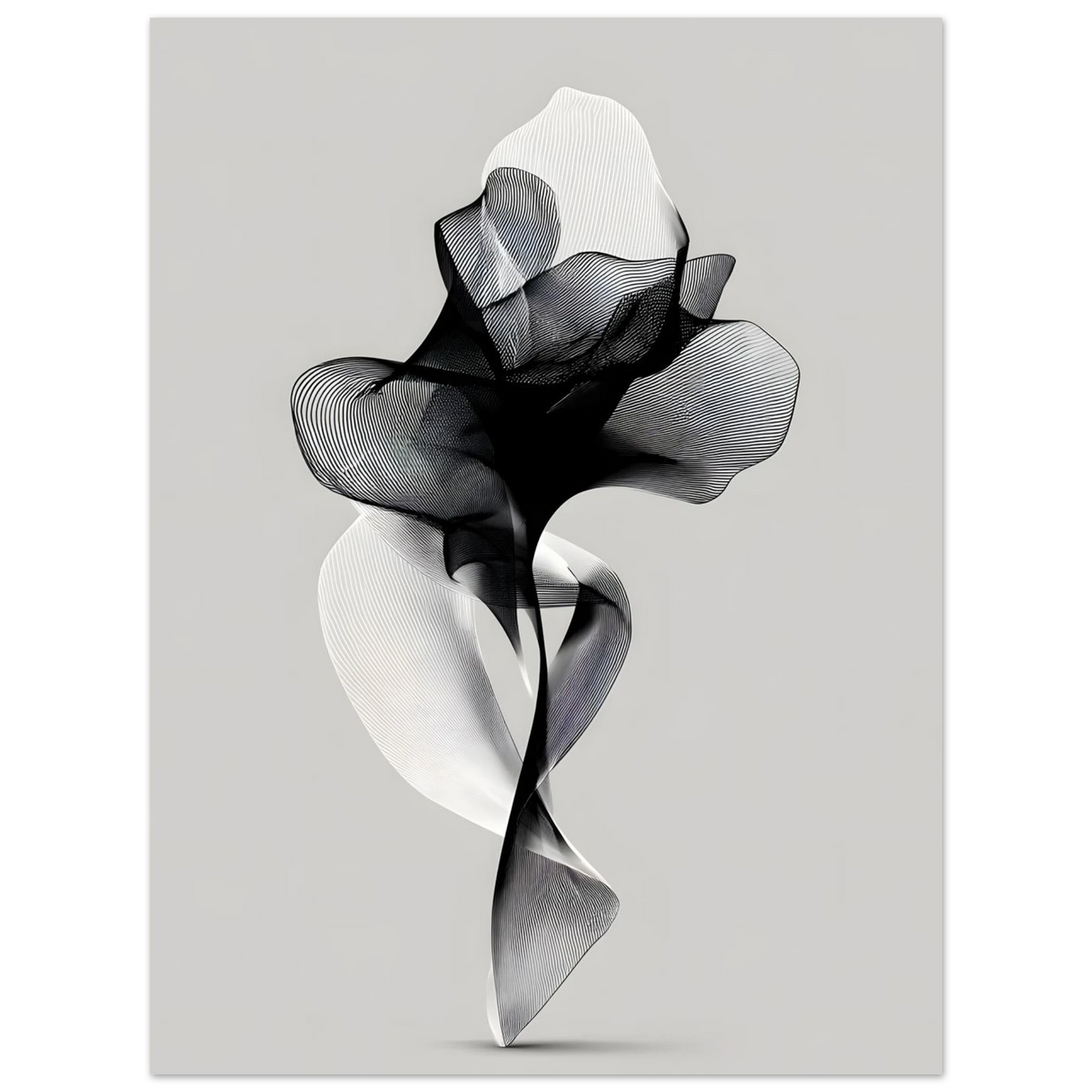 #50 x 70 cm
