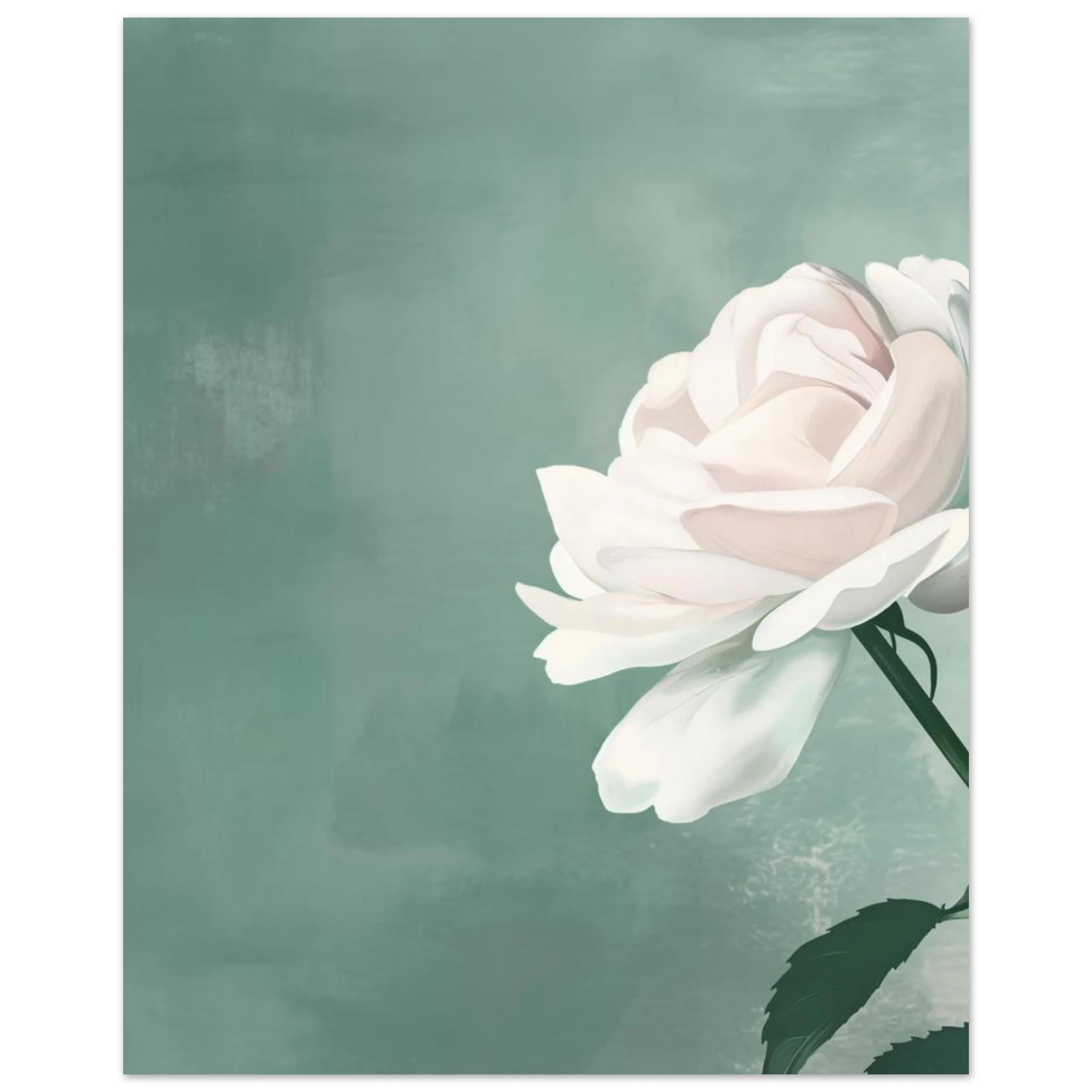 #40 x 50 cm