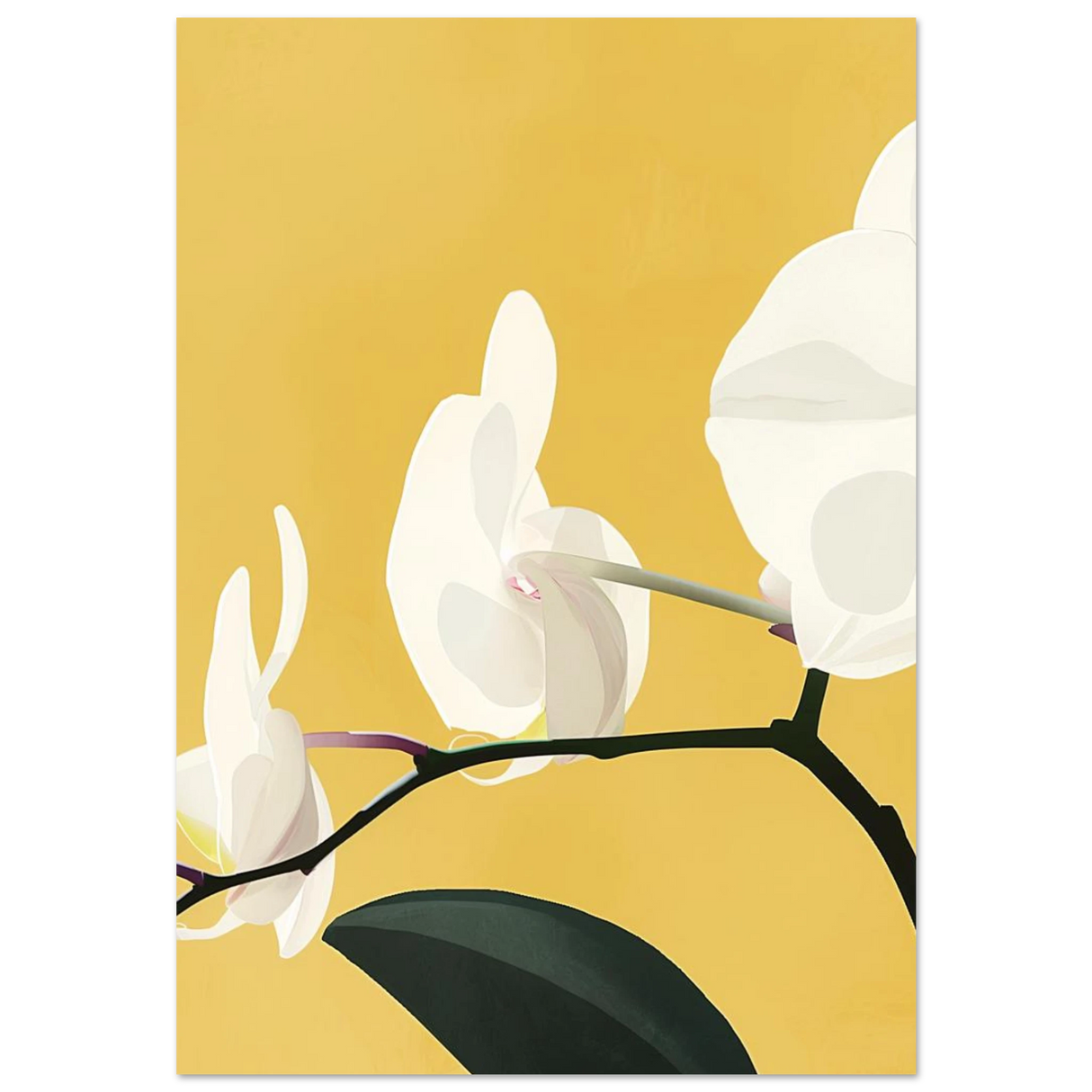 #70 x 100 cm