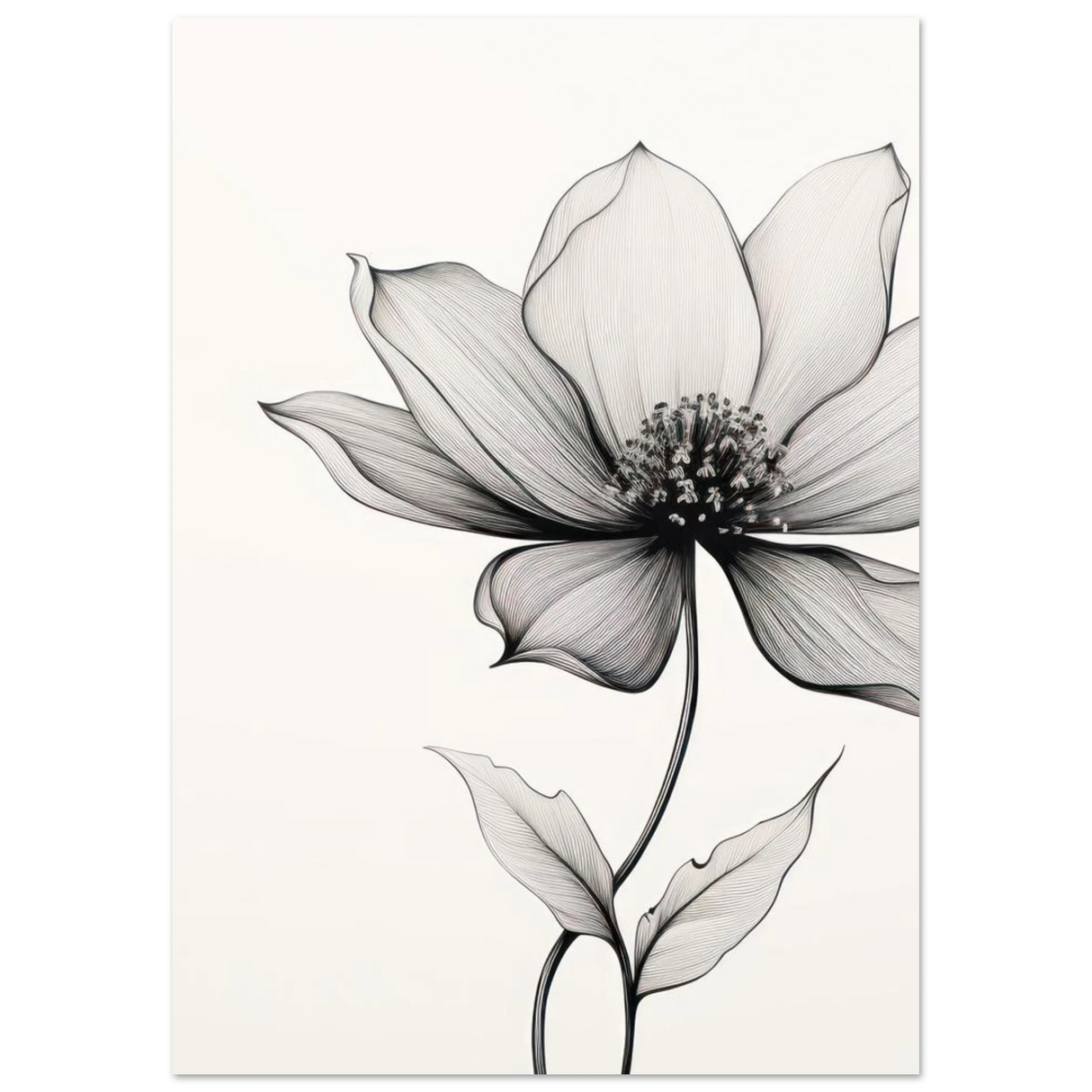 #21 x 29.7 cm