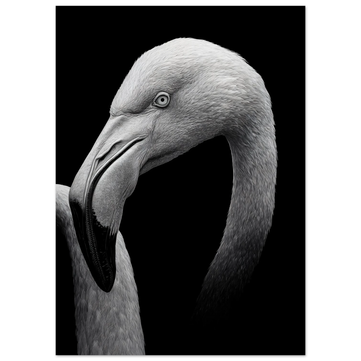 #40 x 50 cm