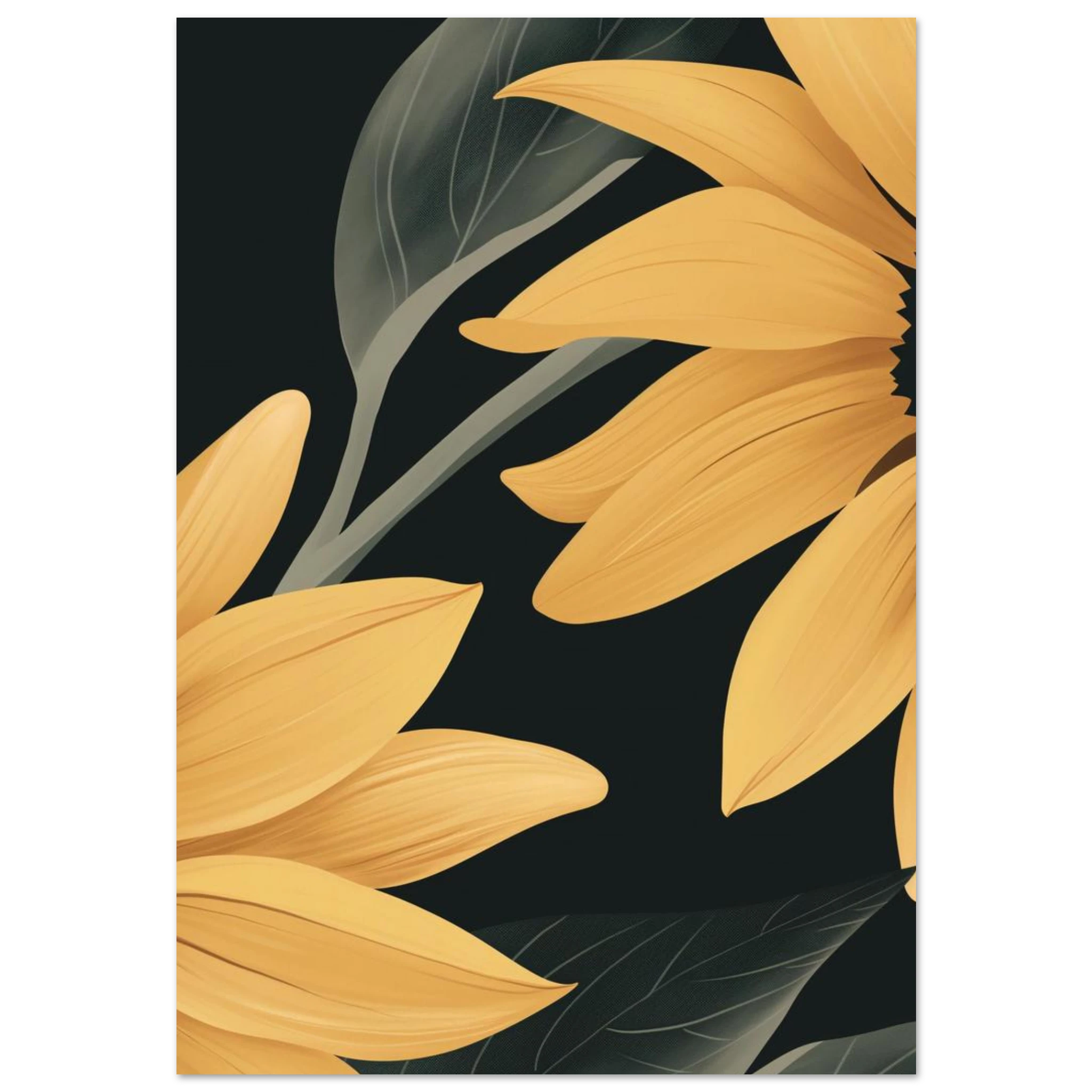 #70 x 100 cm