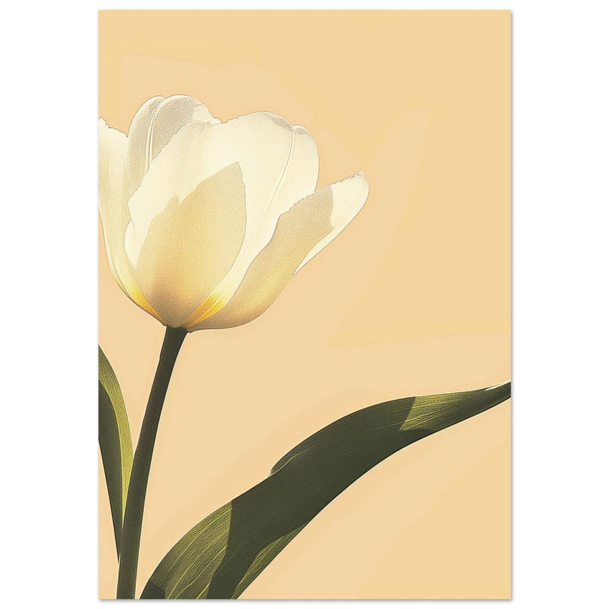 #70 x 100 cm