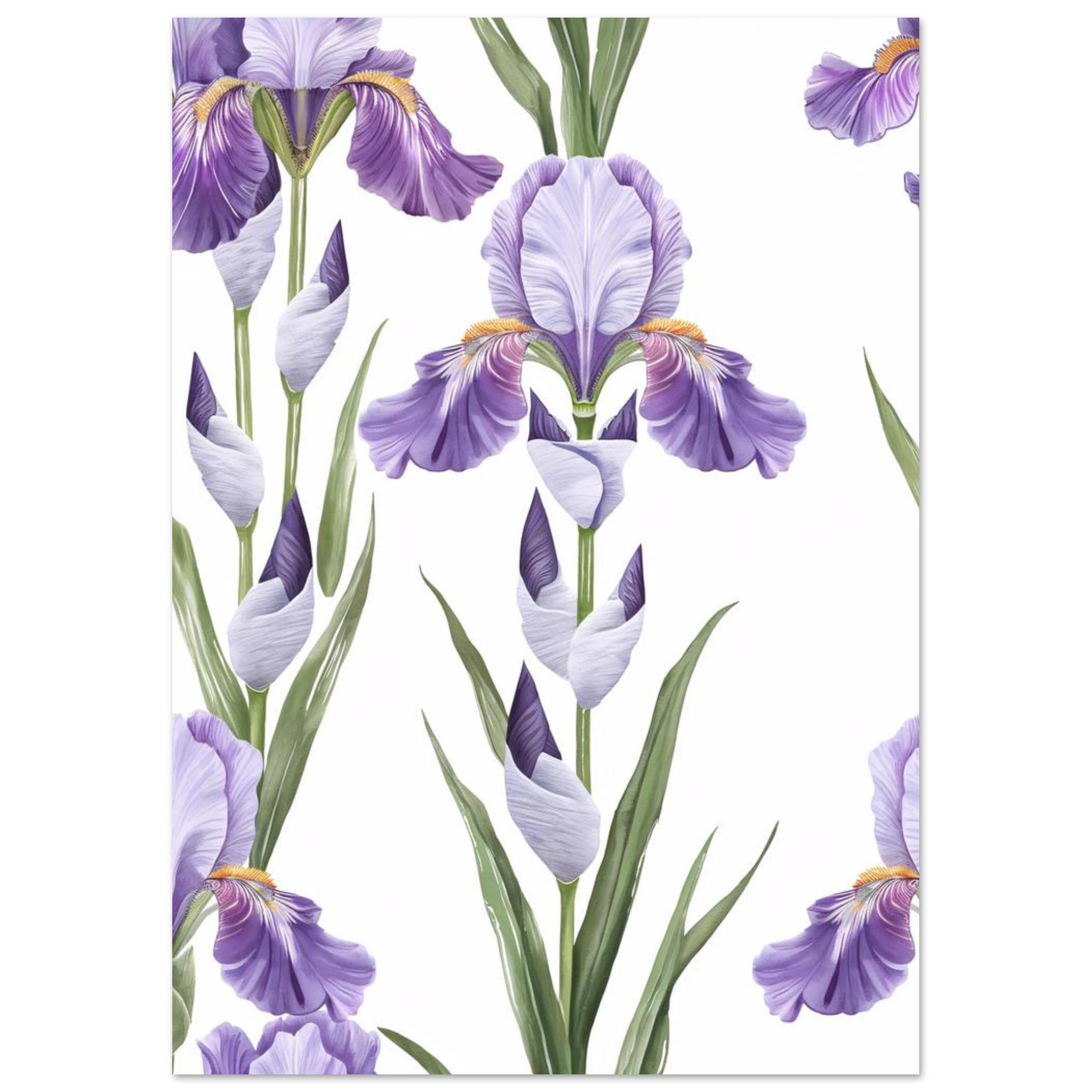 #21 x 29.7 cm