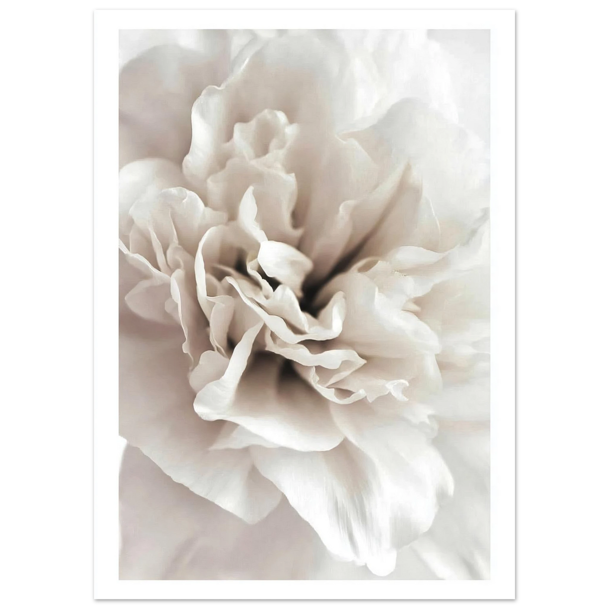 #50 x 70 cm