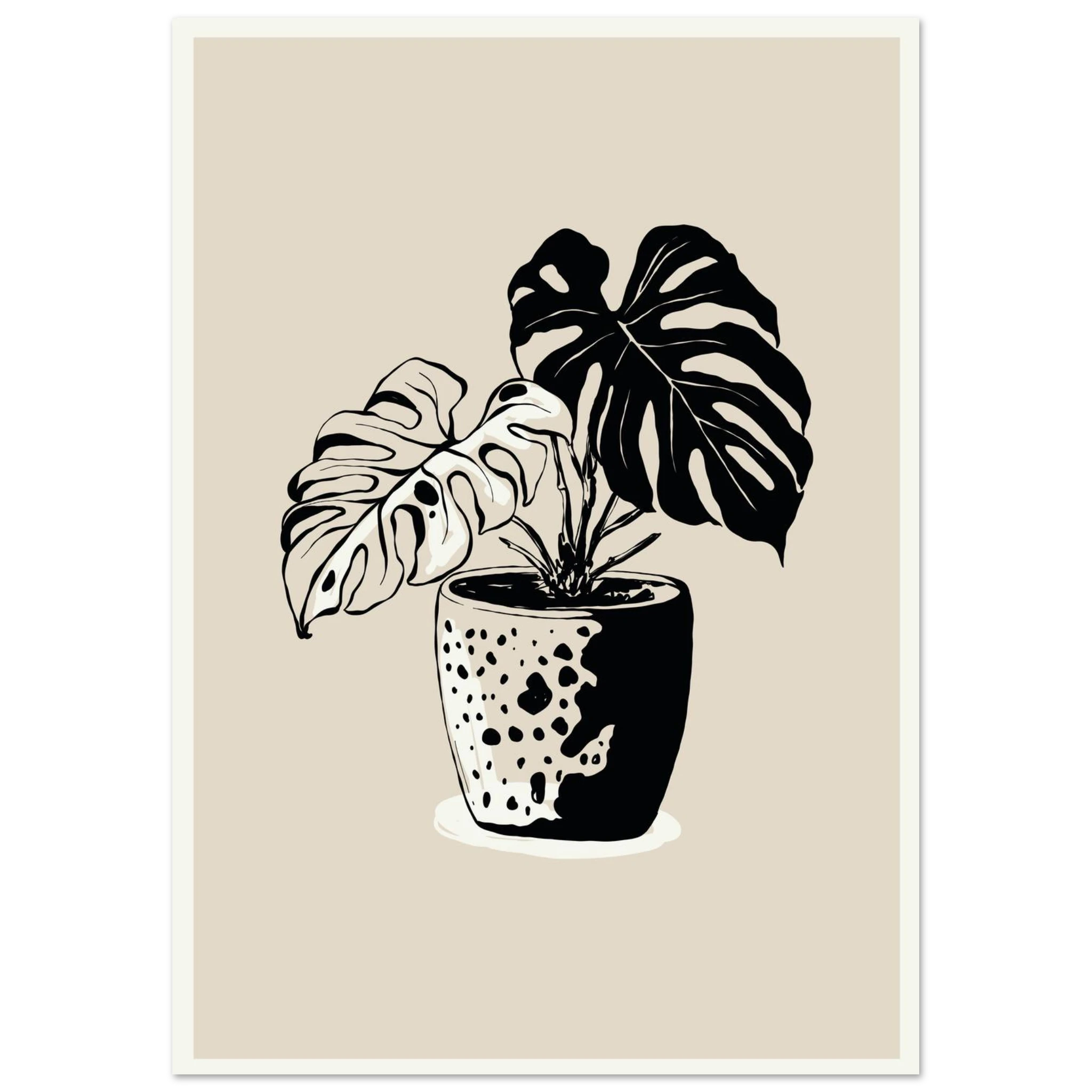 #21 x 29.7 cm