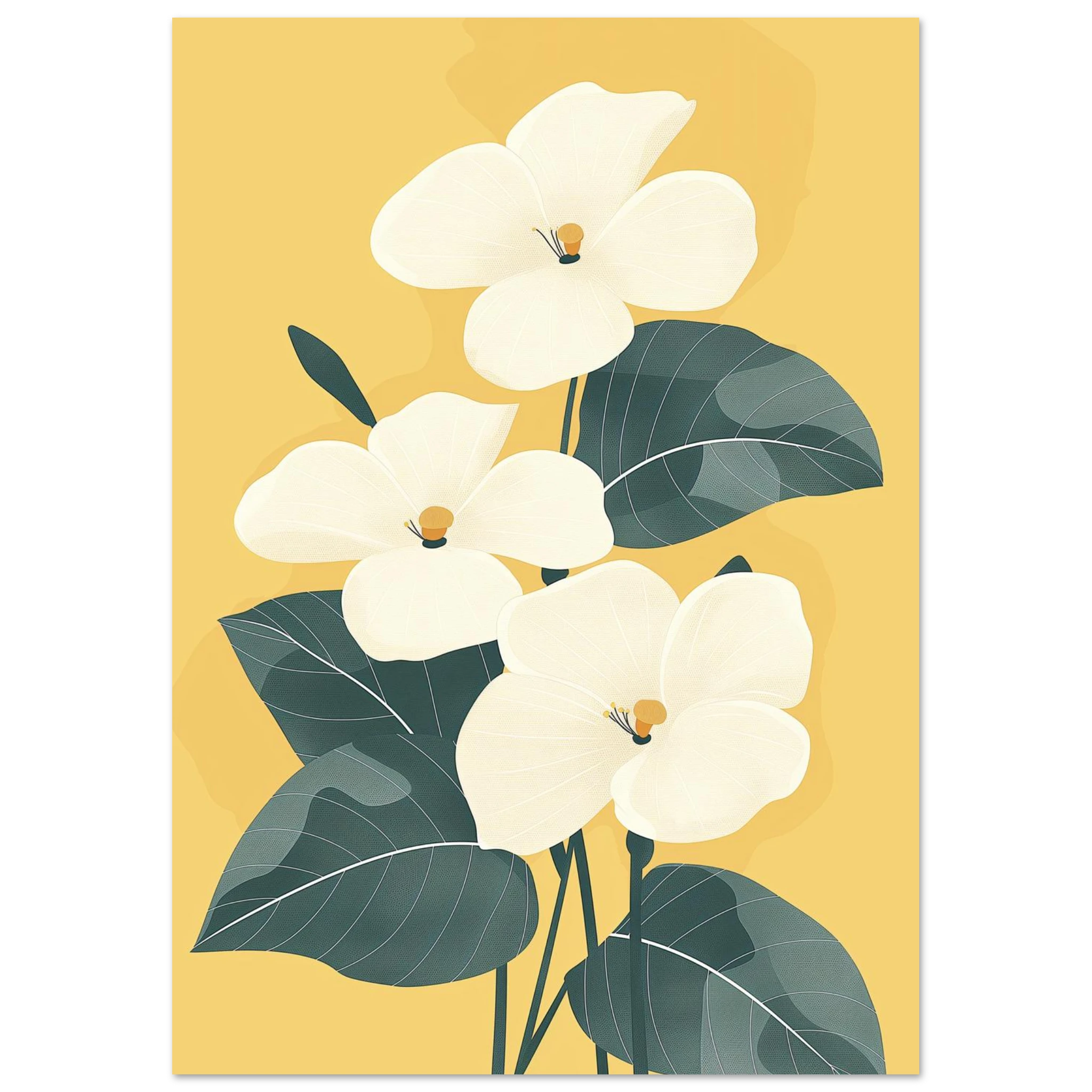 #21 x 29.7 cm