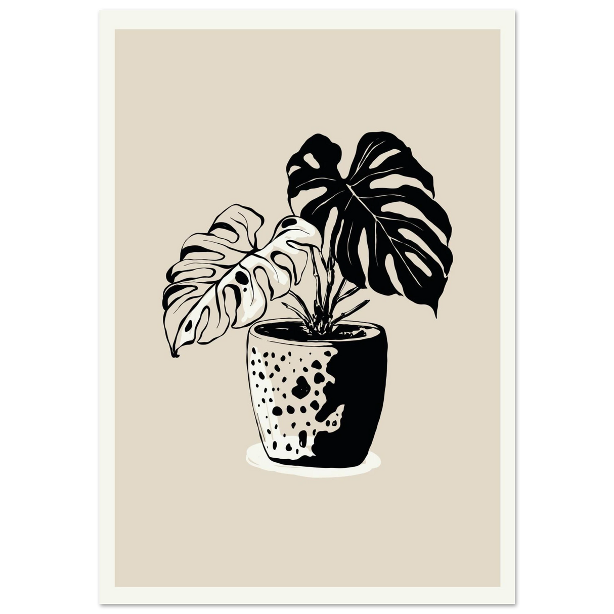 #70 x 100 cm