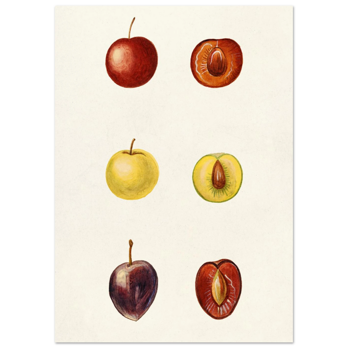 #21 x 29.7 cm