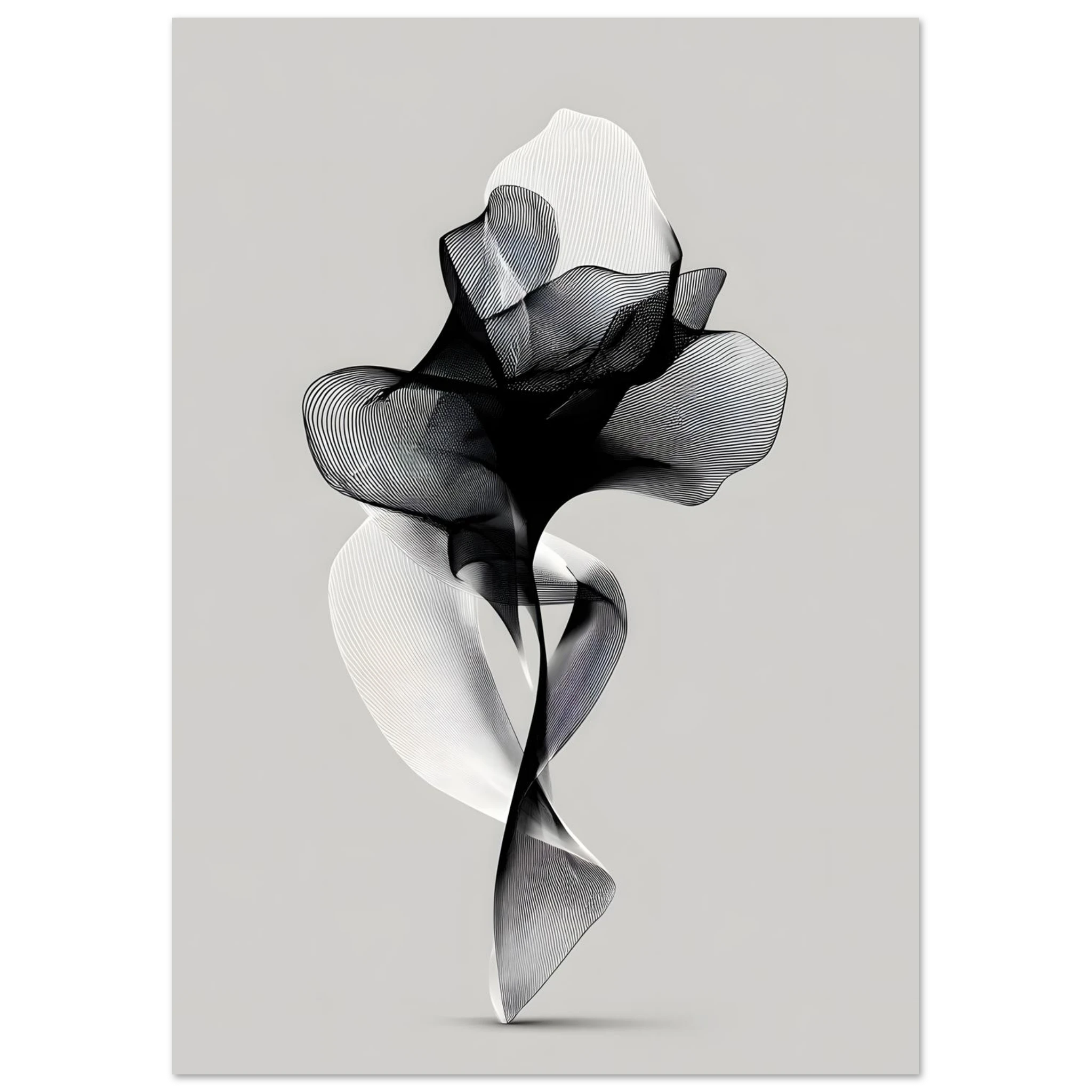 #21 x 29.7 cm