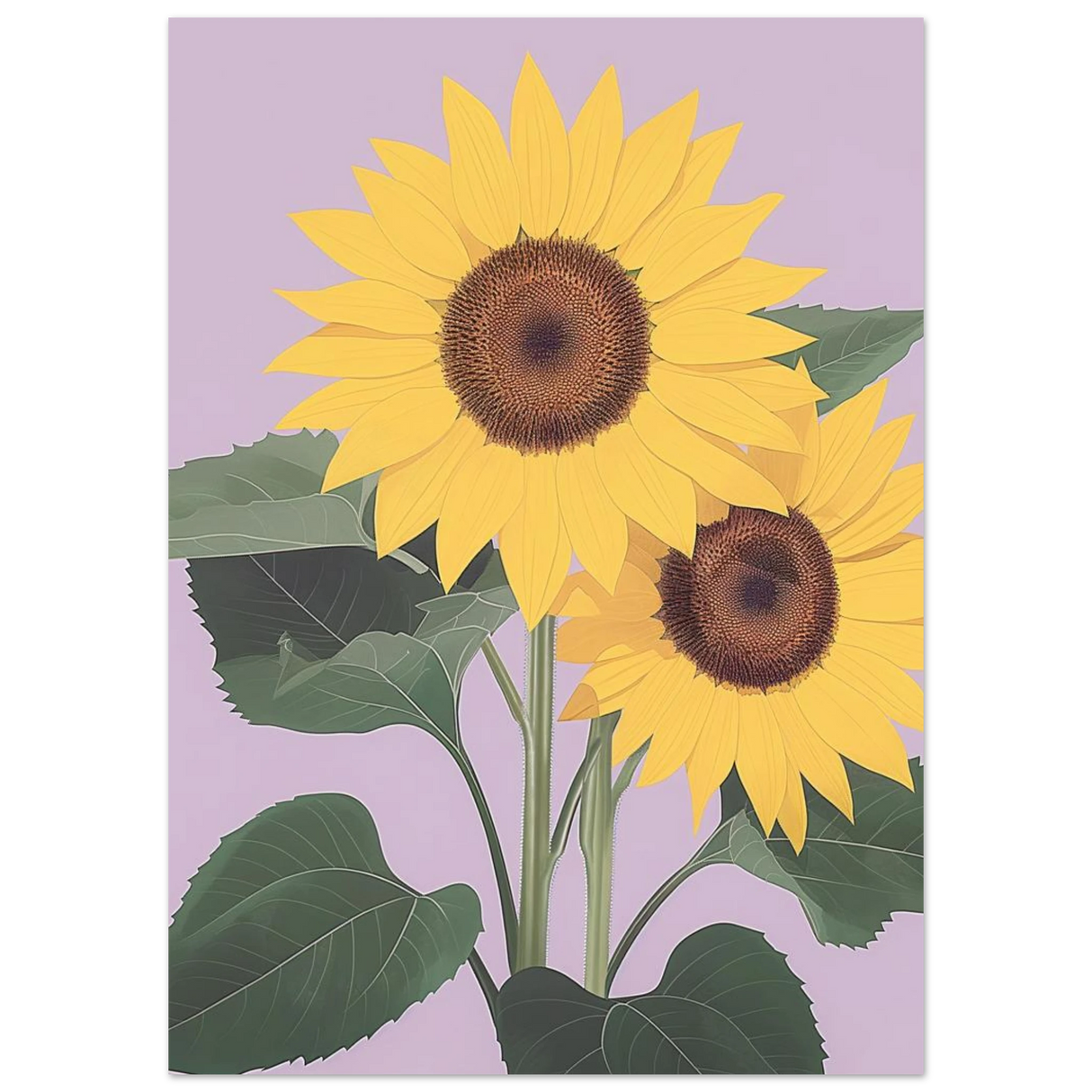 #50 x 70 cm