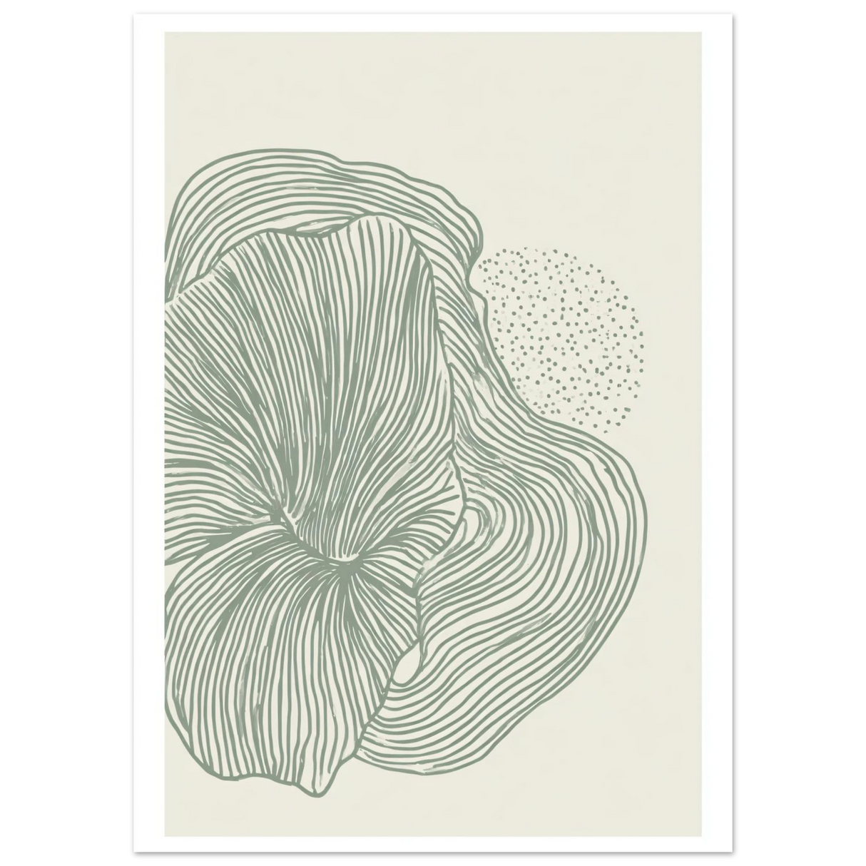#50 x 70 cm