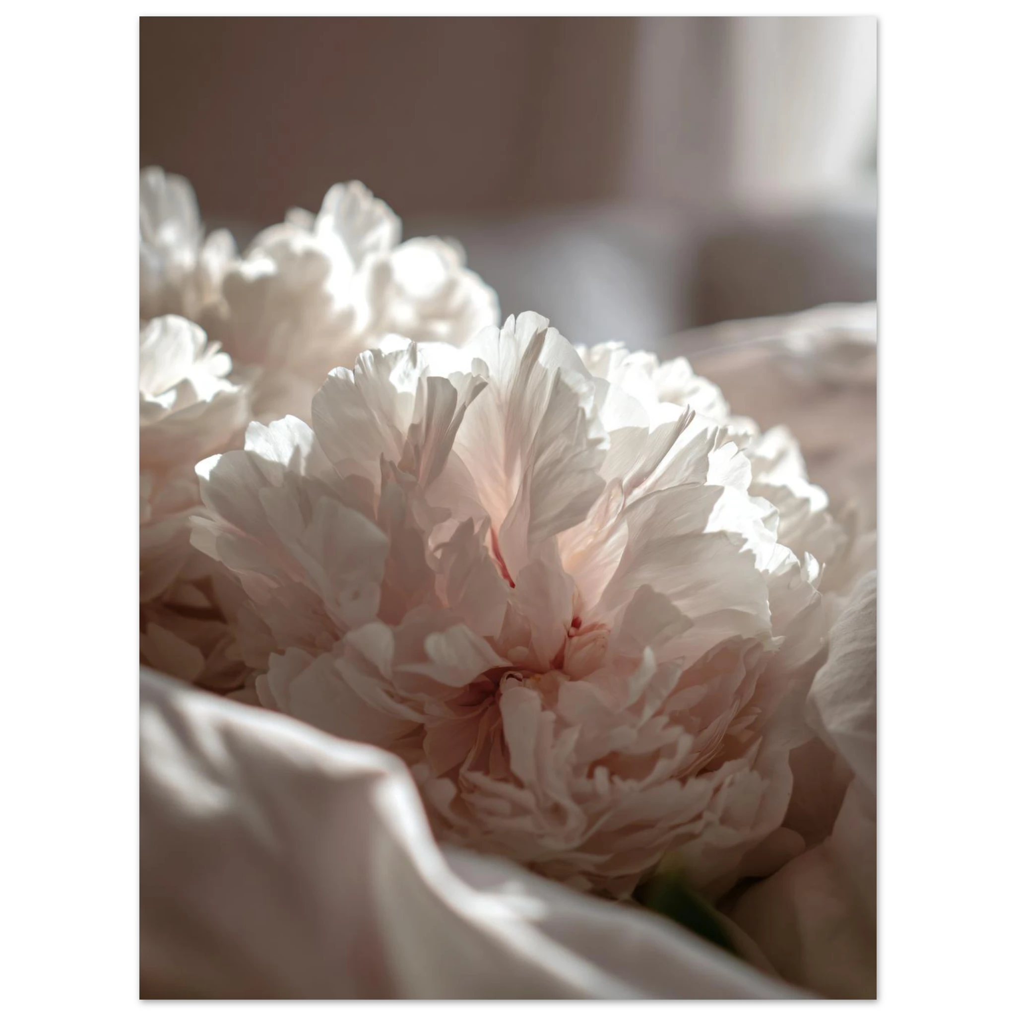 c591b095-6970-4bf8-b9ce-514601869c2e