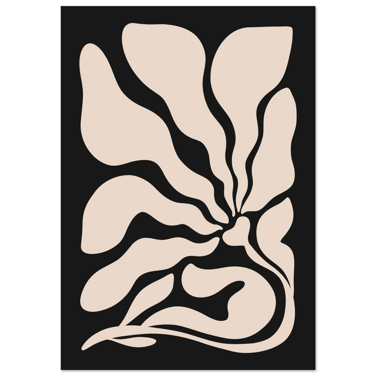 #70 x 100 cm
