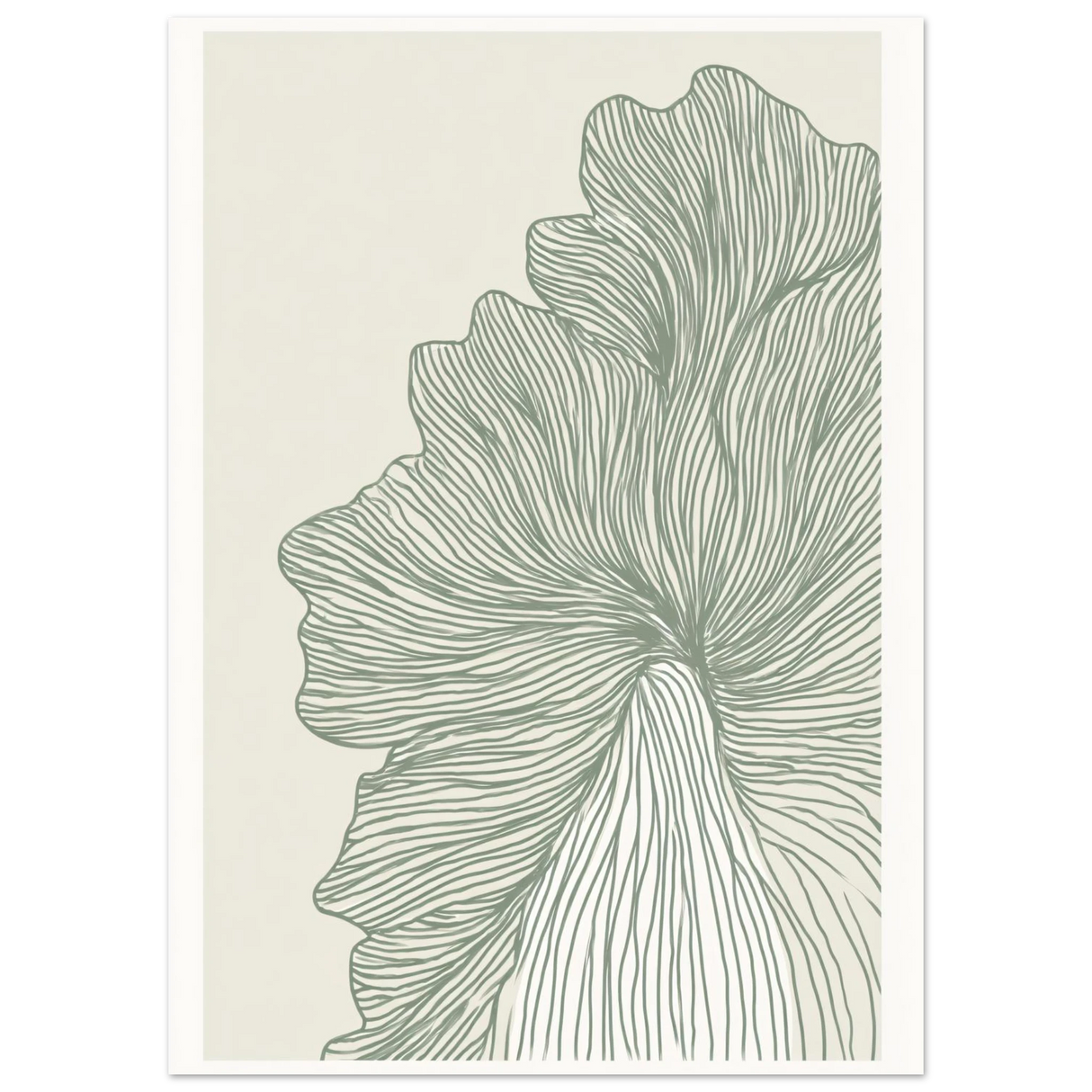 #50 x 70 cm
