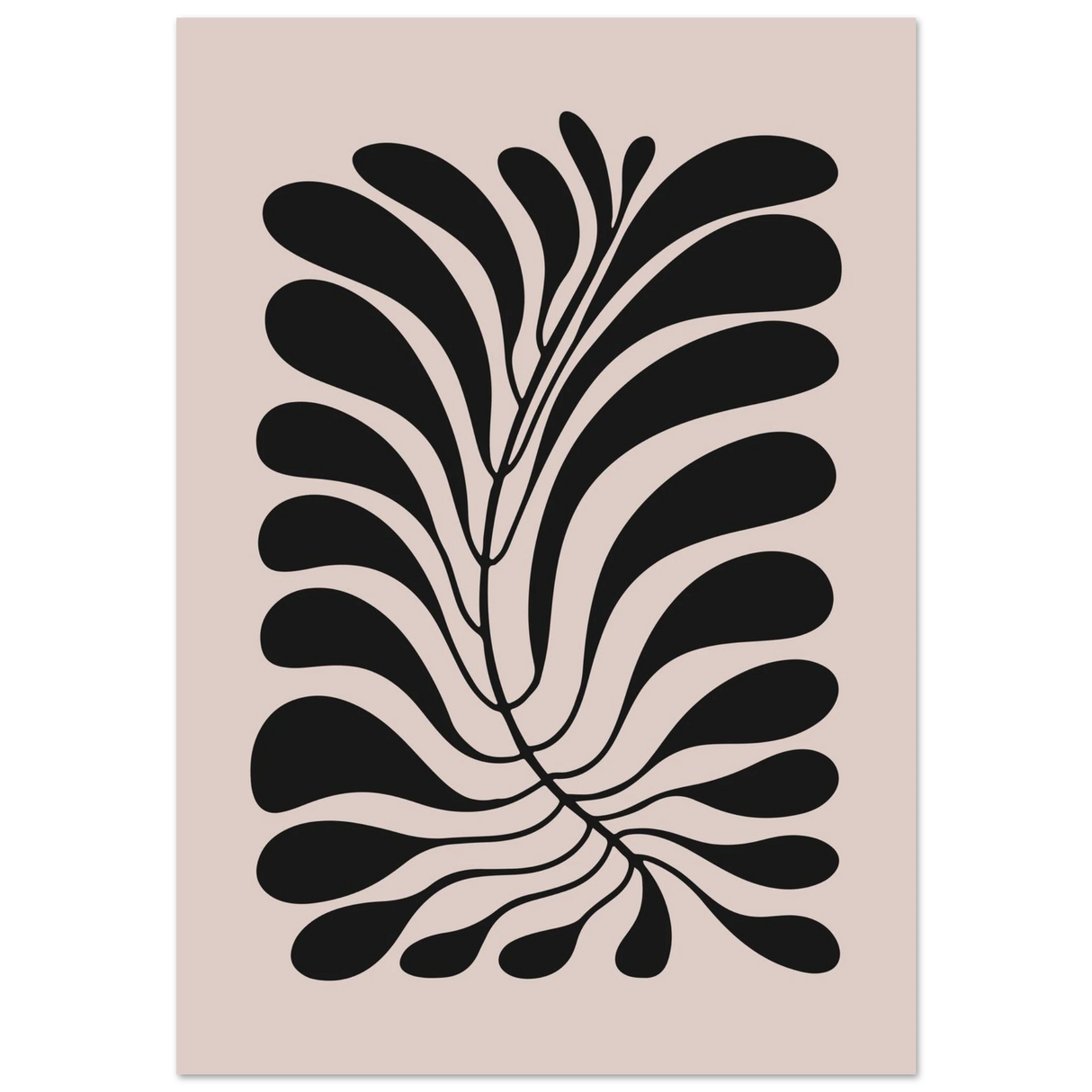 #70 x 100 cm
