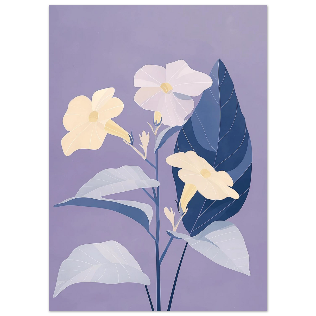 #50 x 70 cm