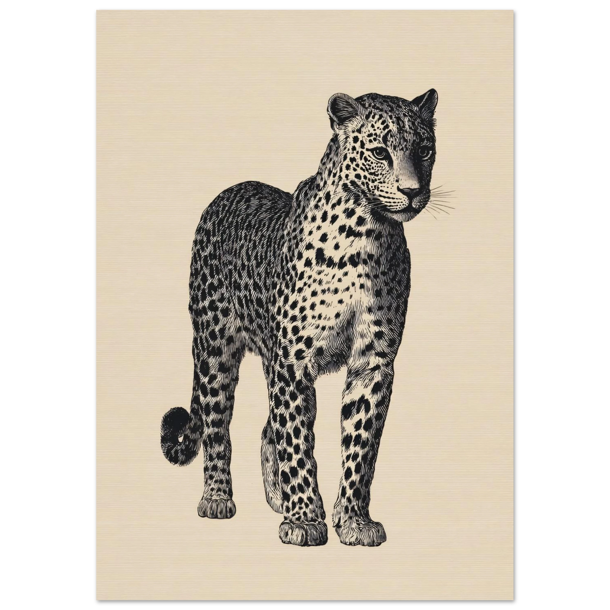 #21 x 29.7 cm