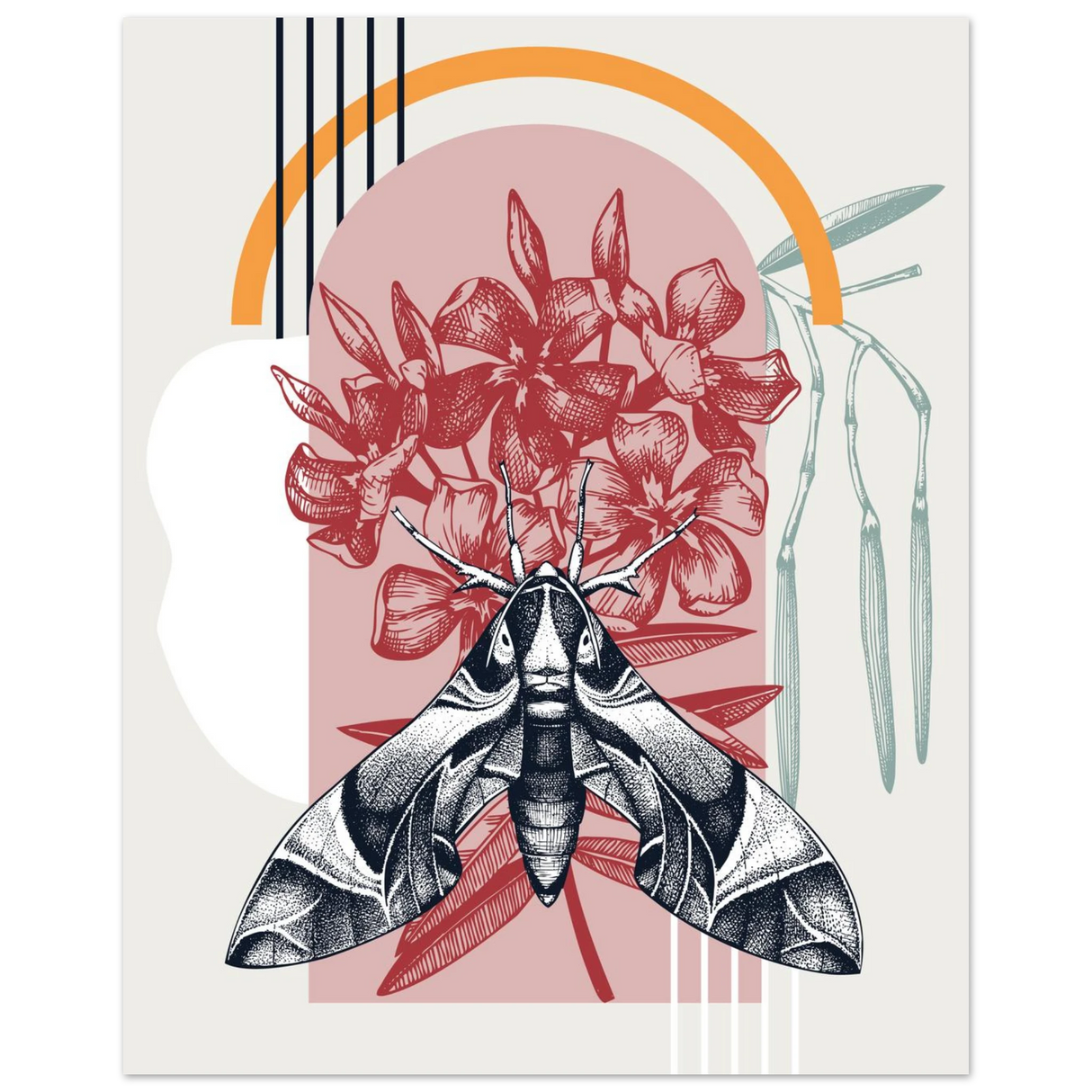 #40 x 50 cm