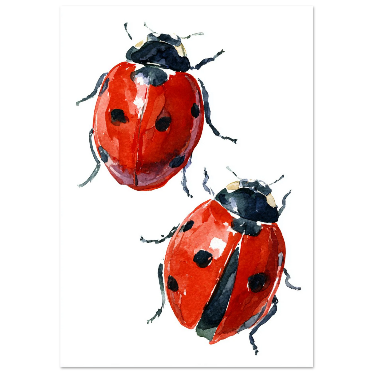 #70 x 100 cm