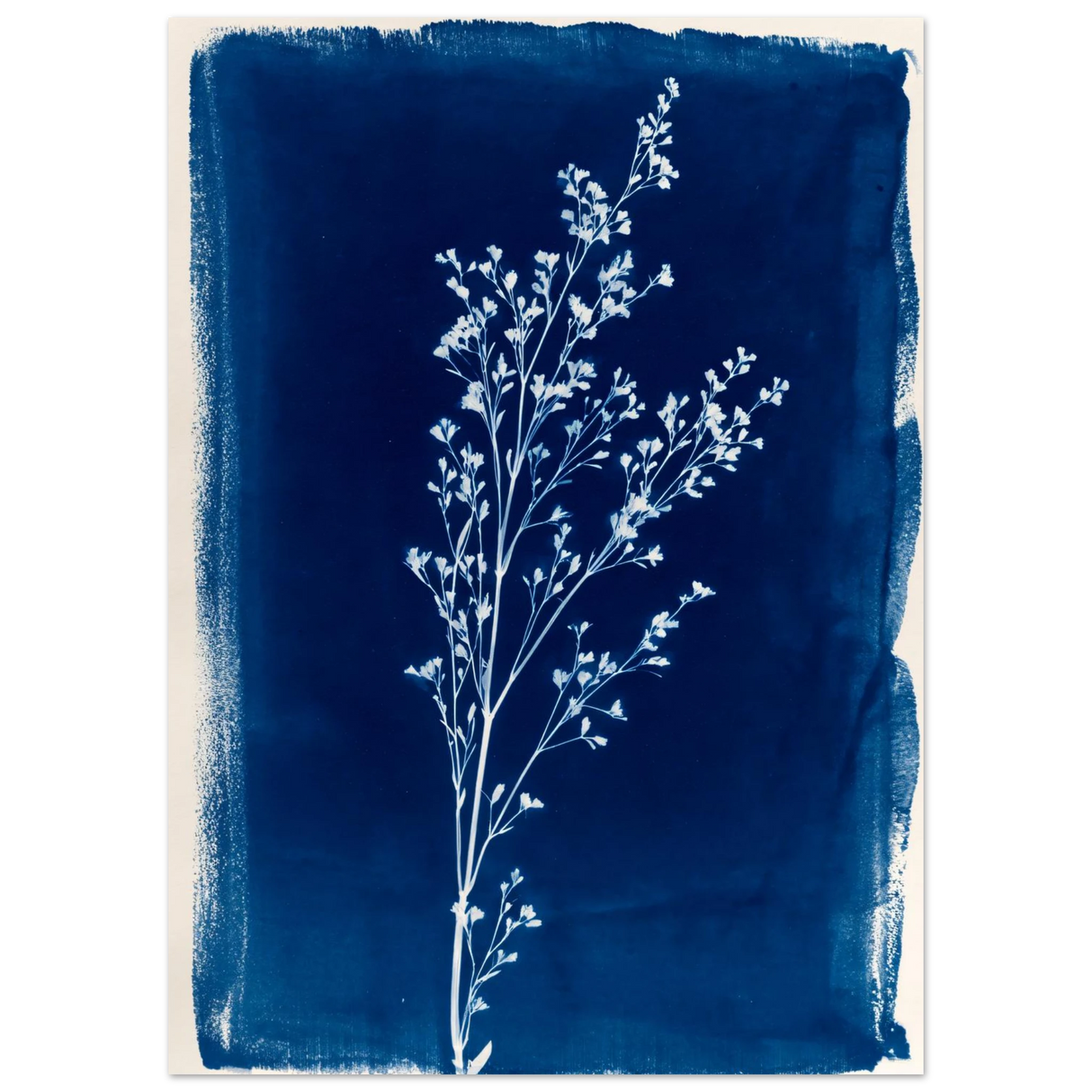 #50 x 70 cm