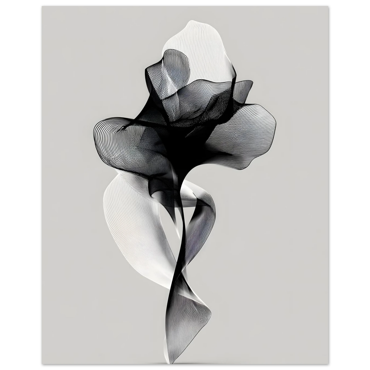 #30 x 40 cm