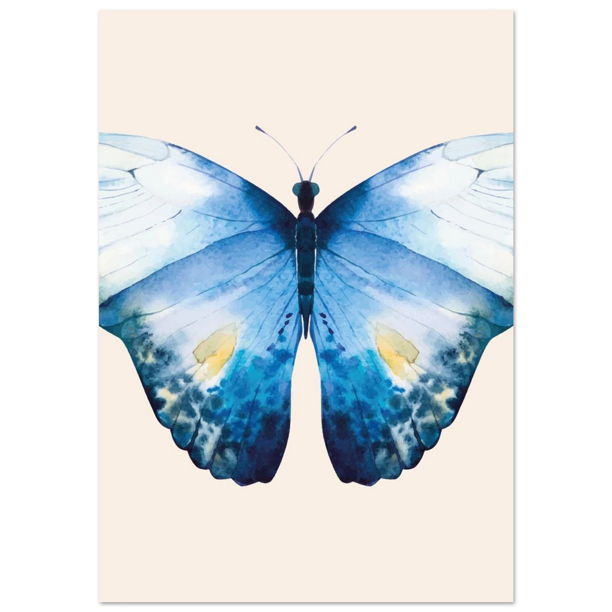 #70 x 100 cm