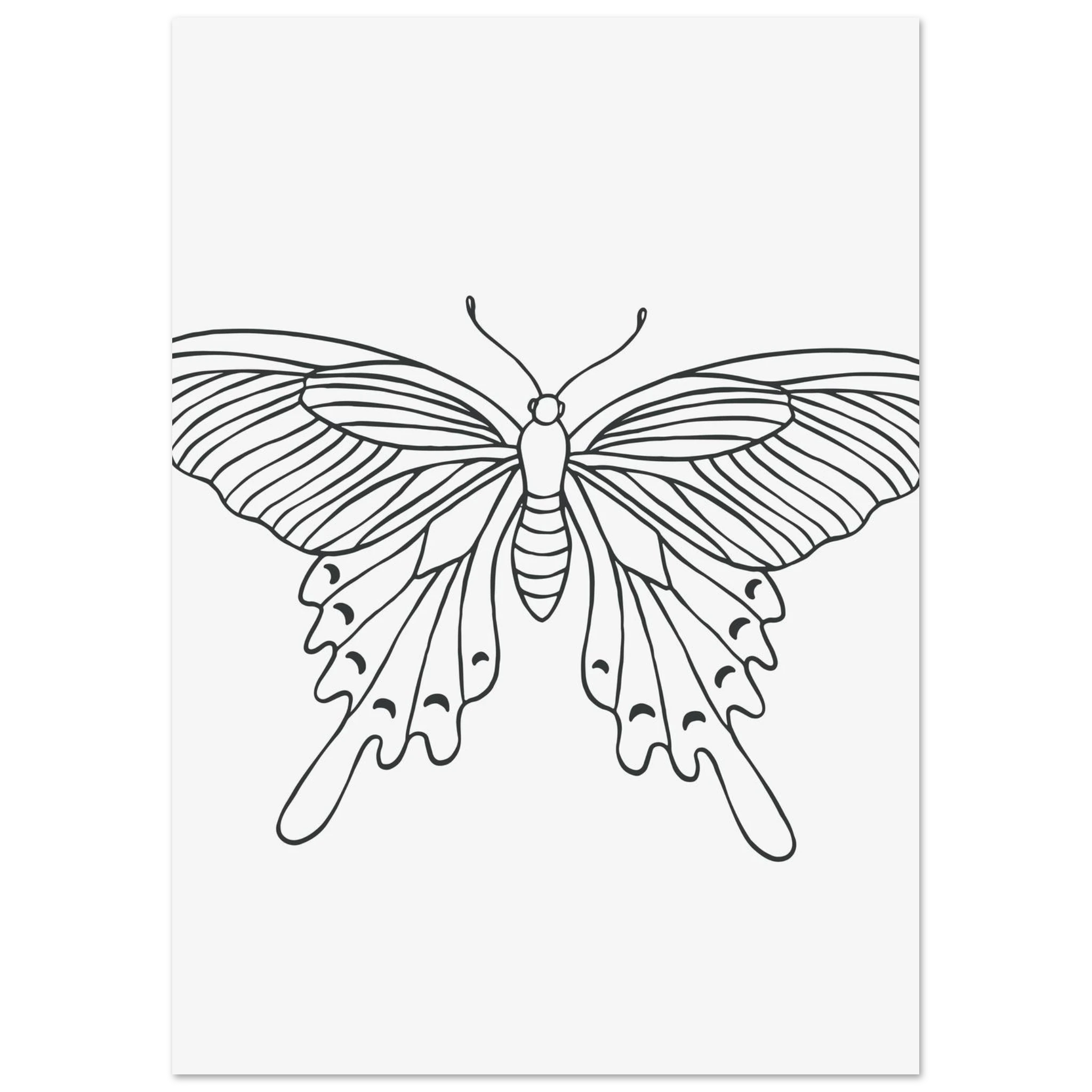 #21 x 29.7 cm