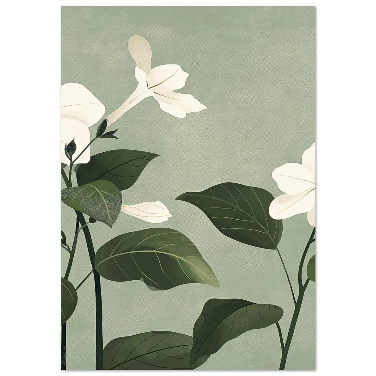 #70 x 100 cm