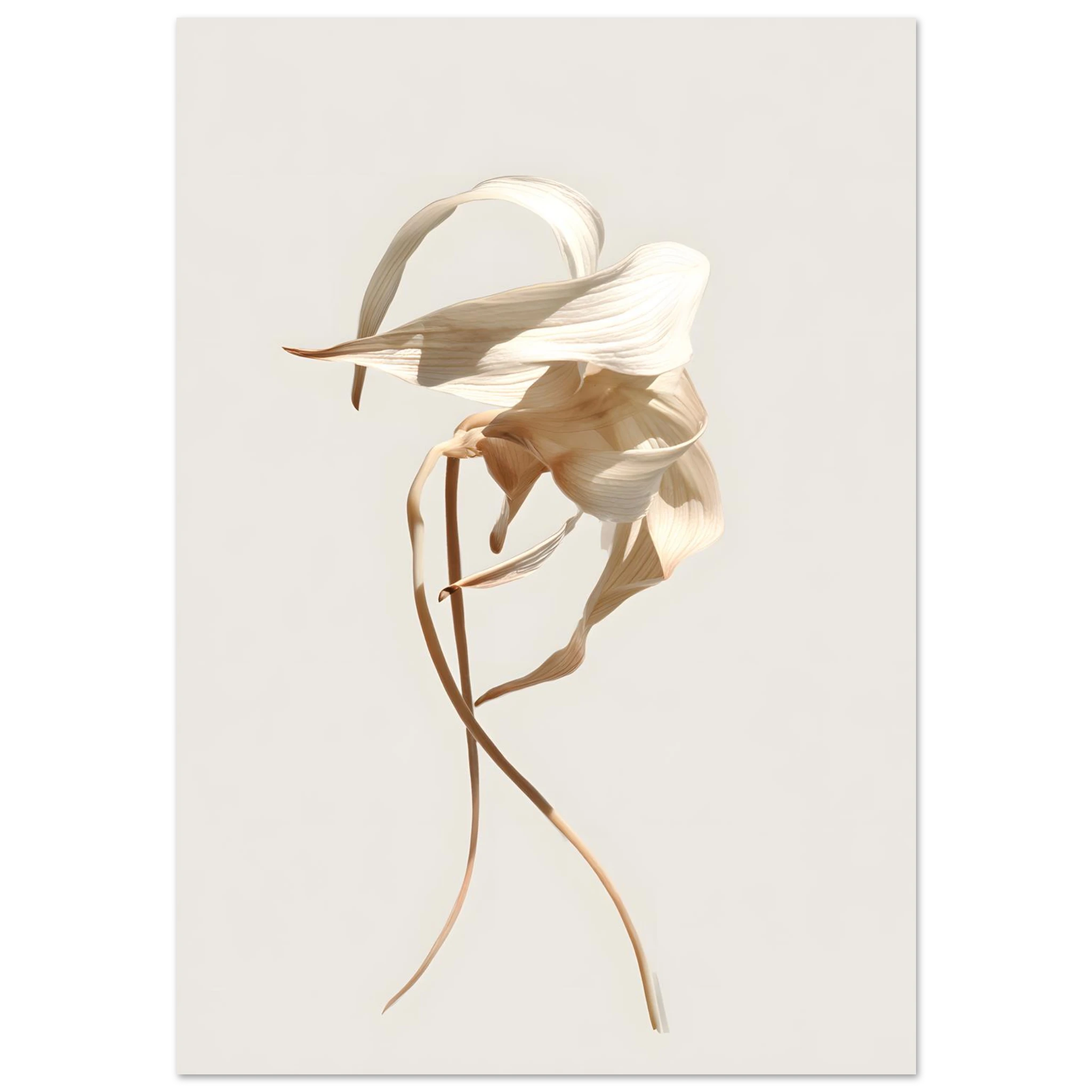 #40 x 50 cm