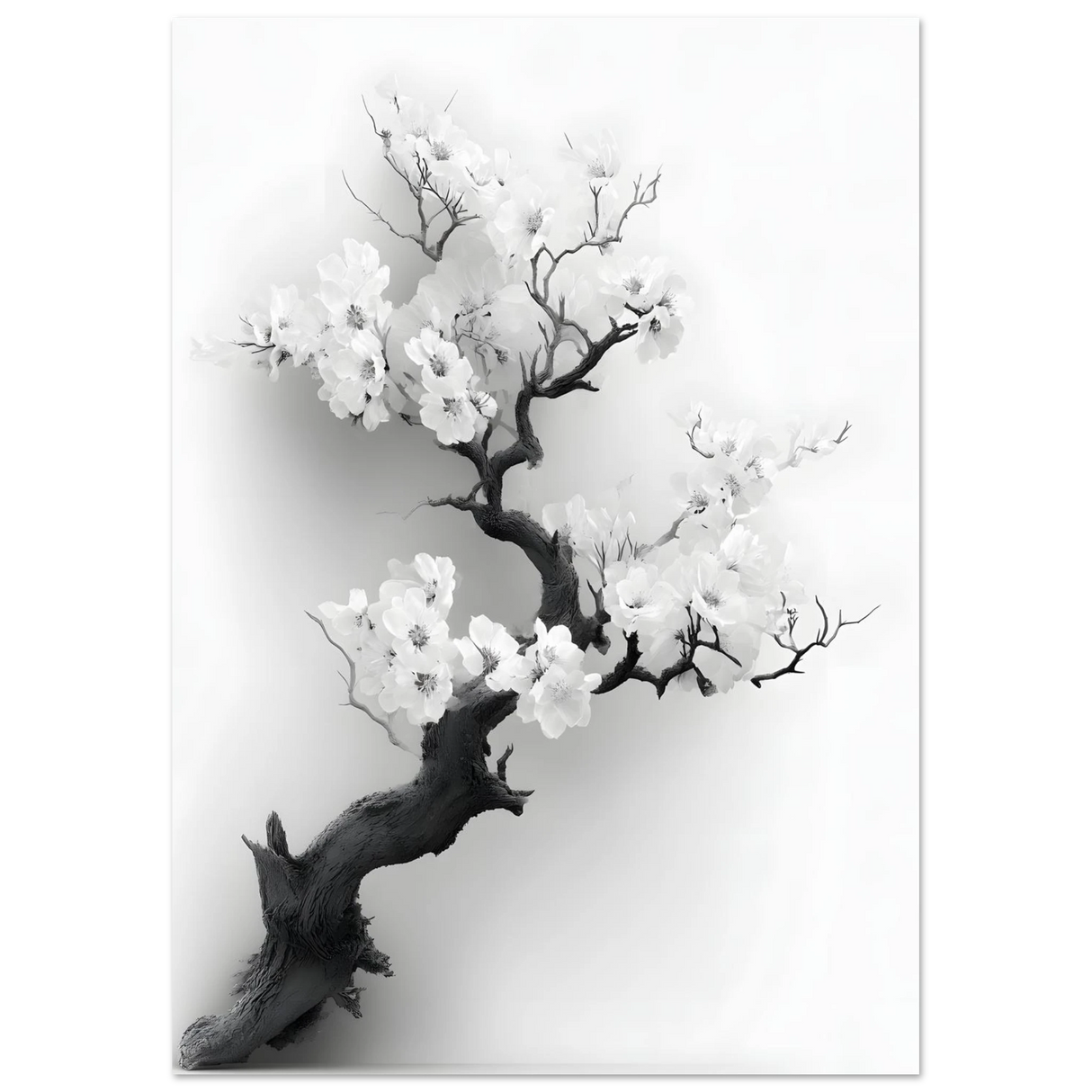 #21 x 29.7 cm