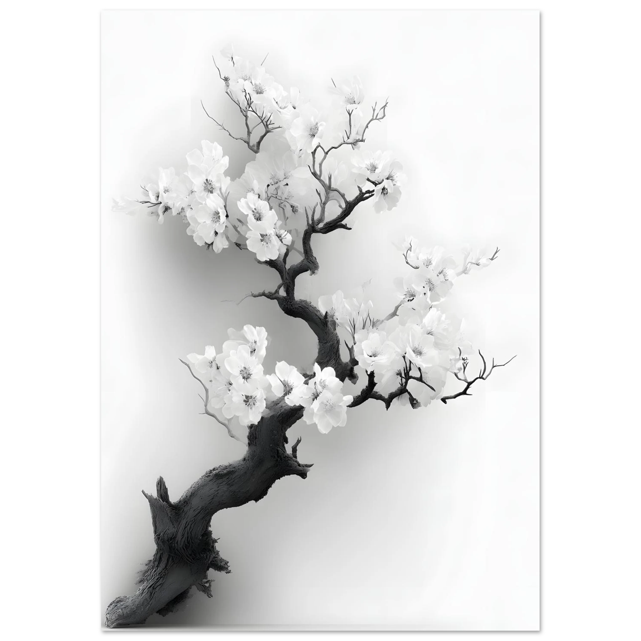 #21 x 29.7 cm
