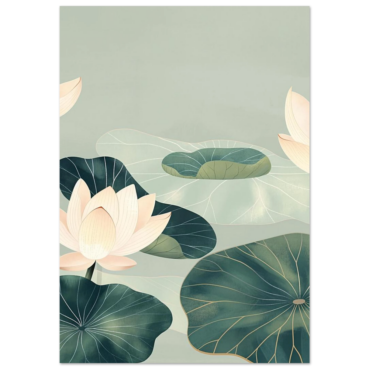#70 x 100 cm