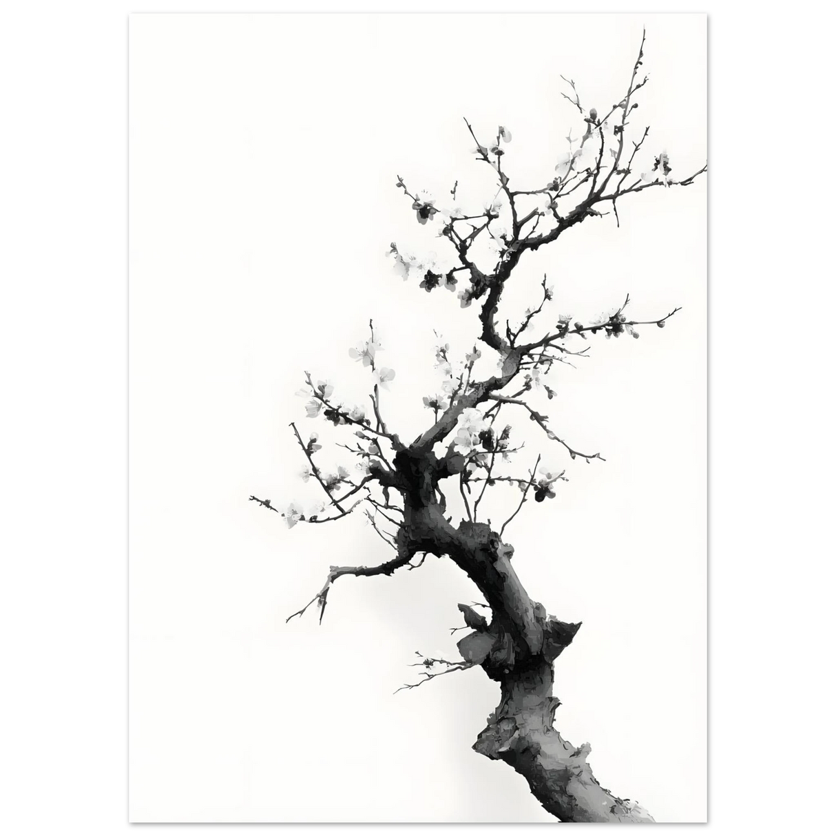 #70 x 100 cm