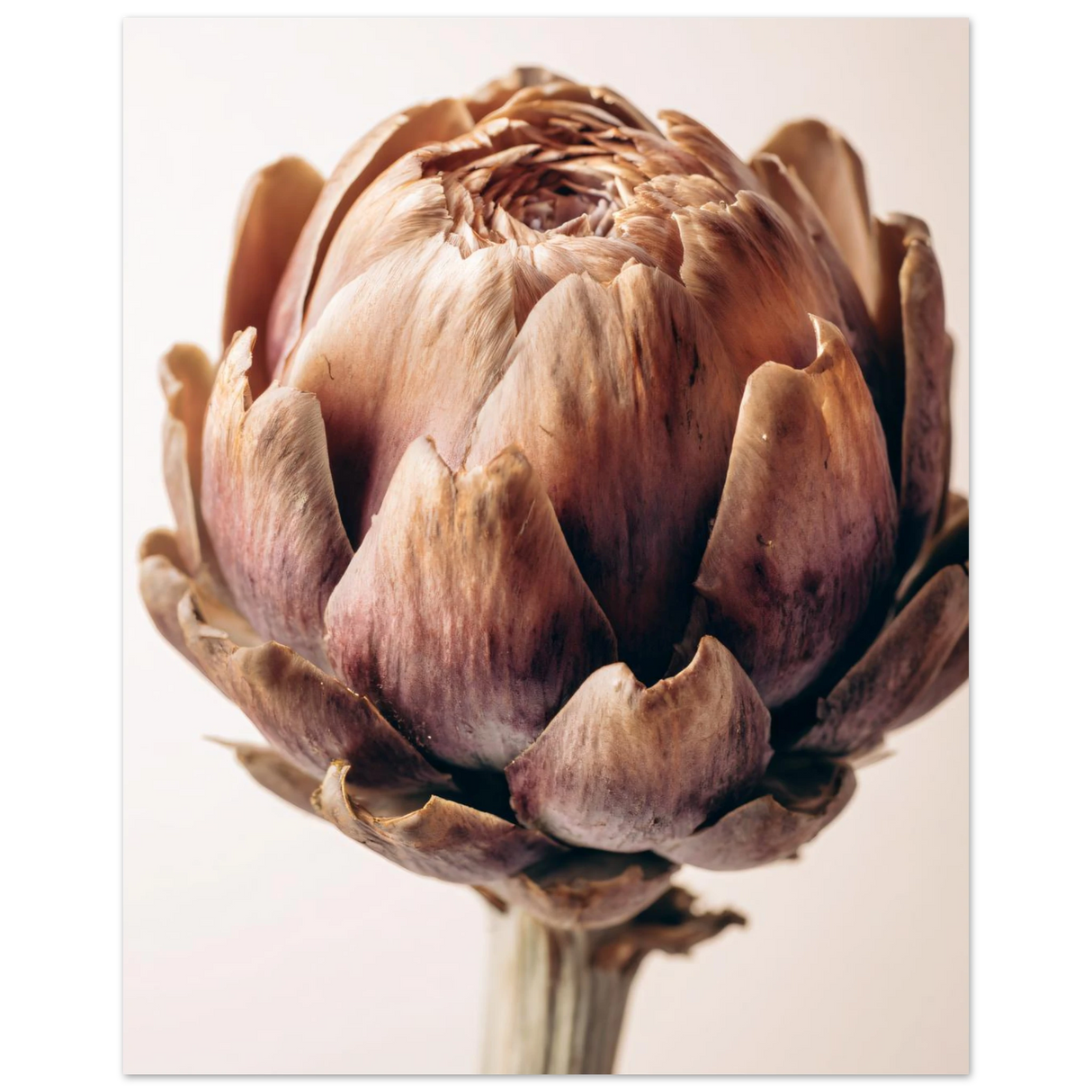 #70 x 100 cm