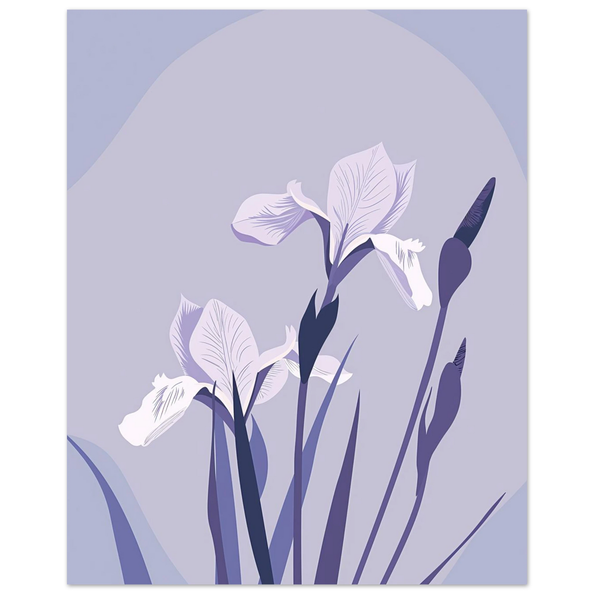 #40 x 50 cm