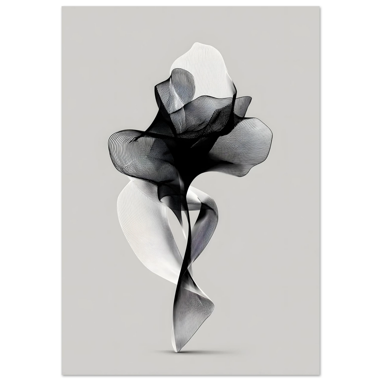 #40 x 50 cm