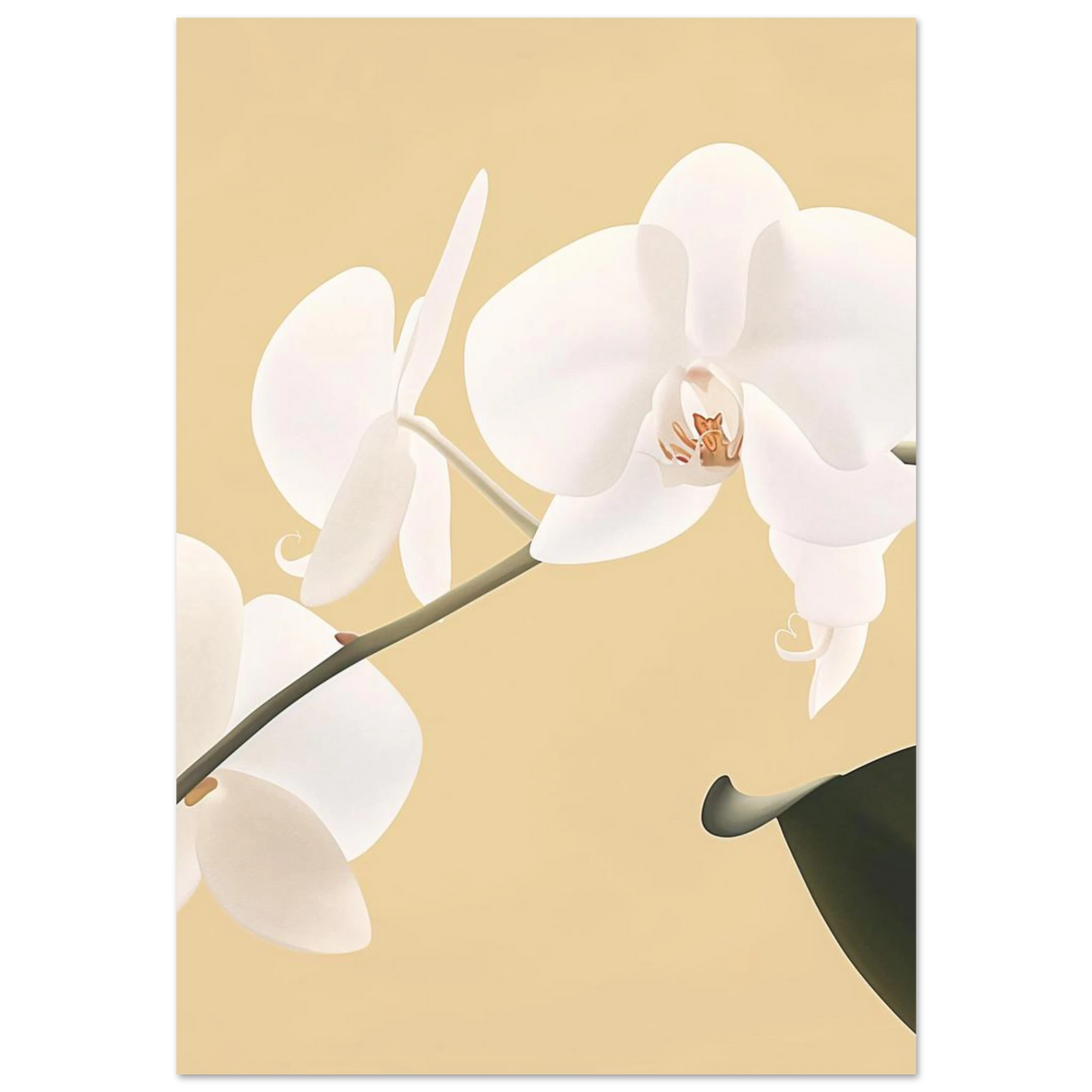 #70 x 100 cm