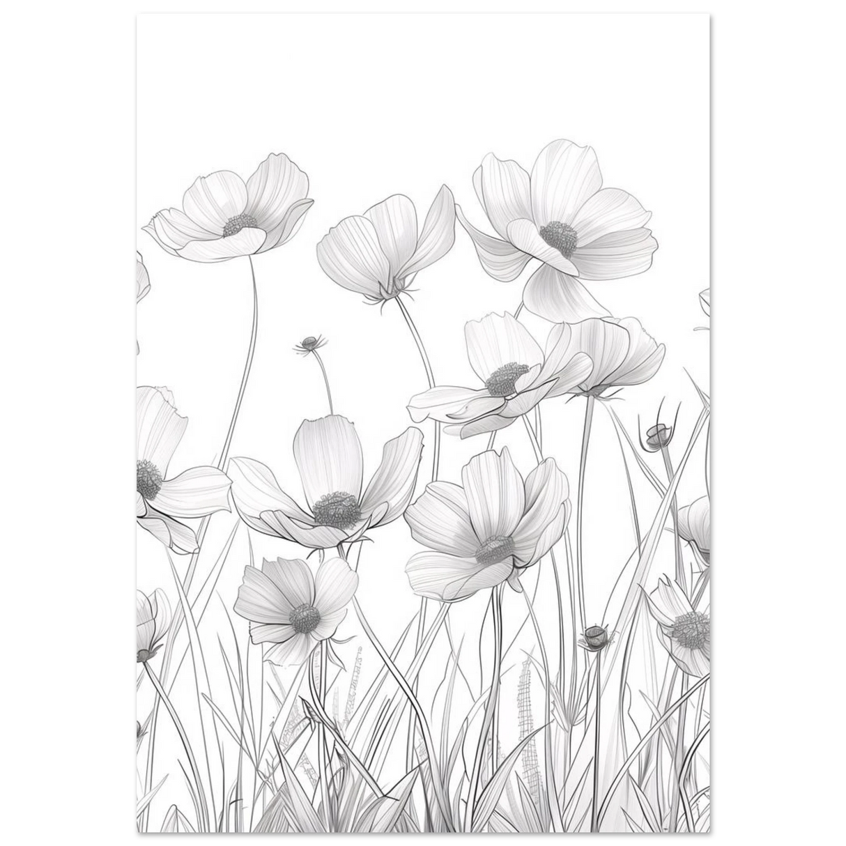 #70 x 100 cm