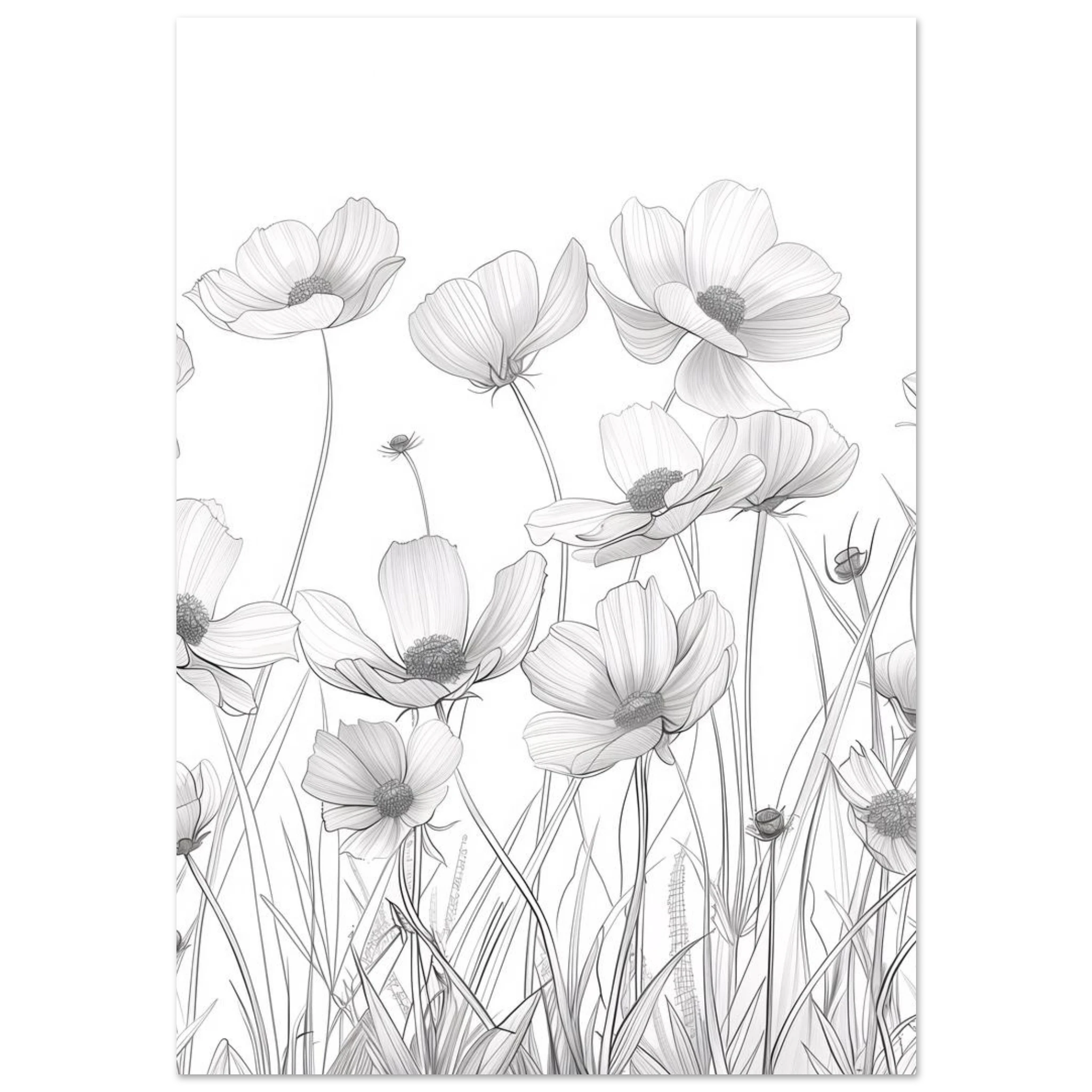 #70 x 100 cm