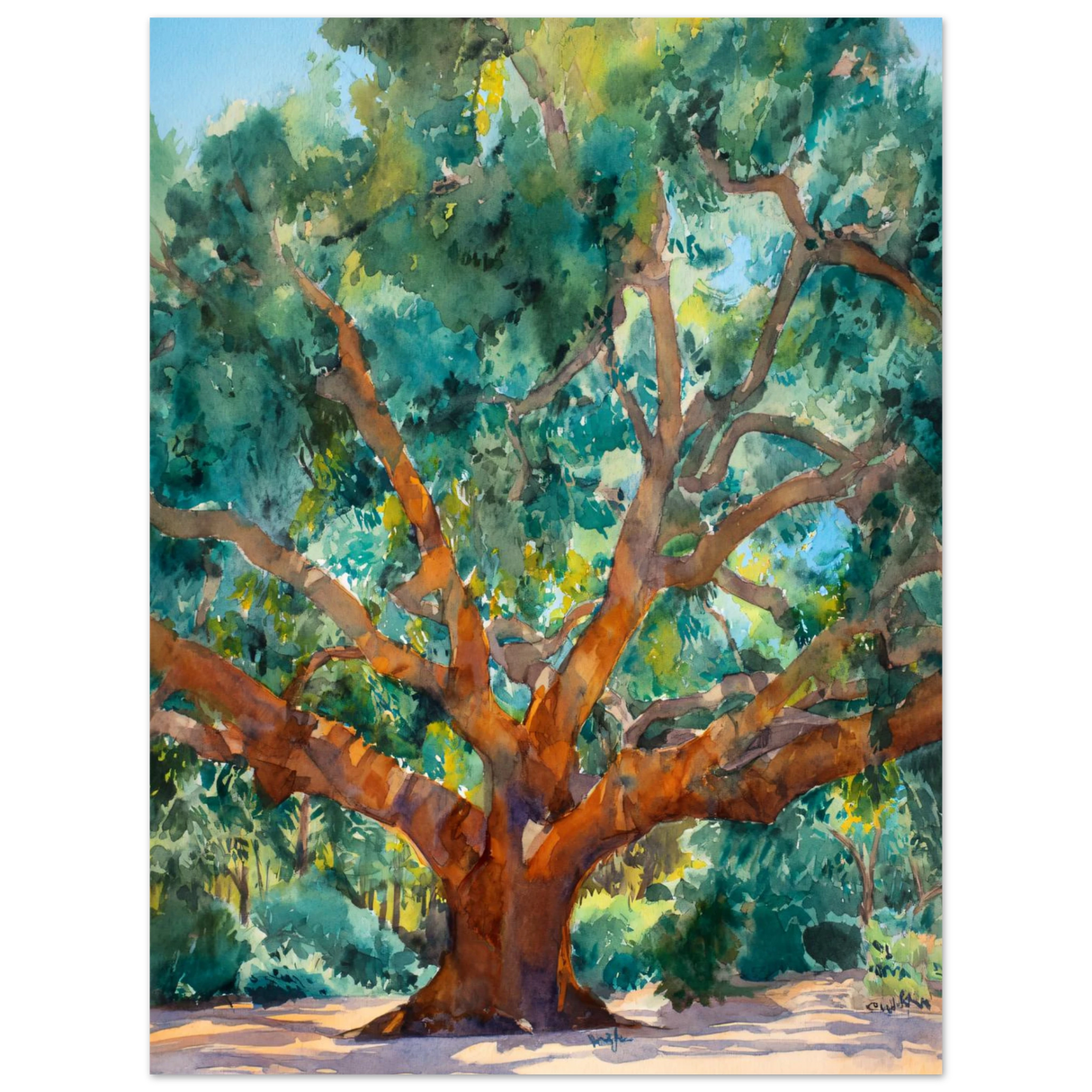 #30 x 40 cm