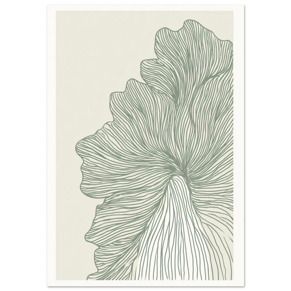 #70 x 100 cm