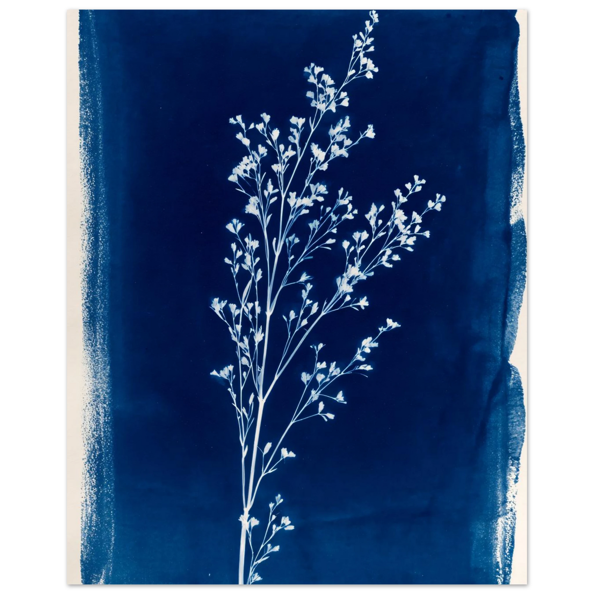 #40 x 50 cm